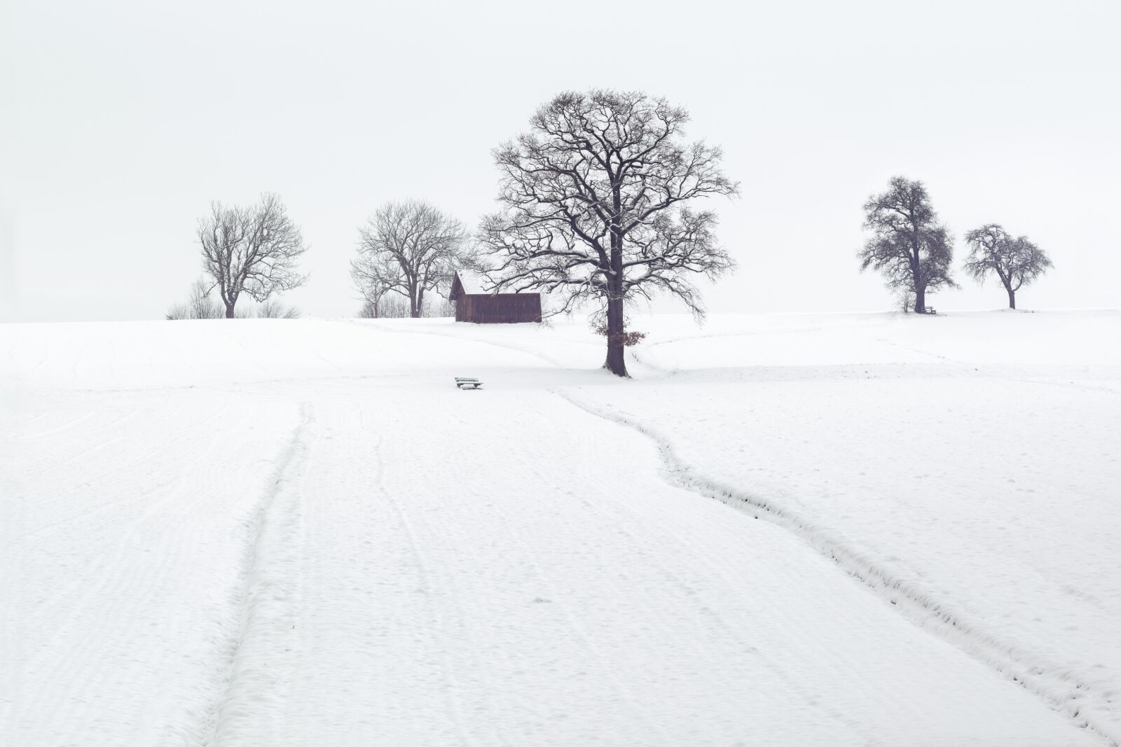 Olympus M.Zuiko Digital ED 75mm F1.8 sample photo. Winter, winter scene, landscape photography