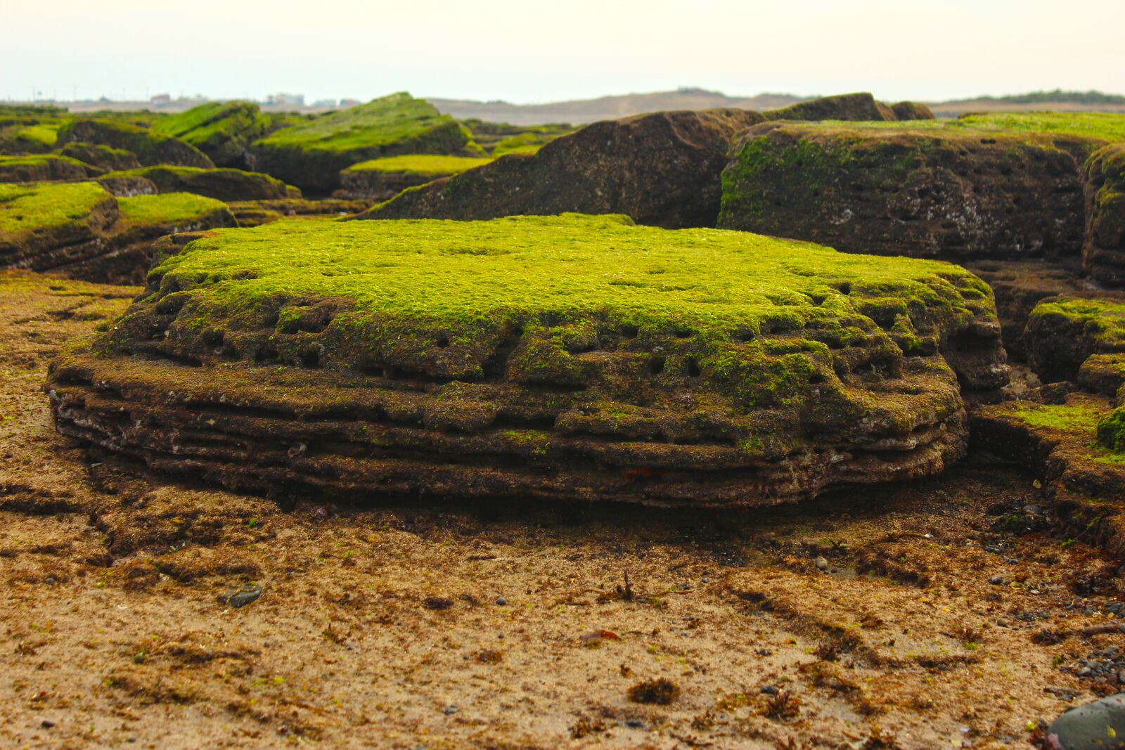 Canon EOS 600D (Rebel EOS T3i / EOS Kiss X5) sample photo. Coastal, rock, moss photography