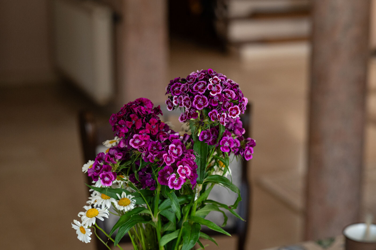 Nikon D780 sample photo. Decent high iso test photography