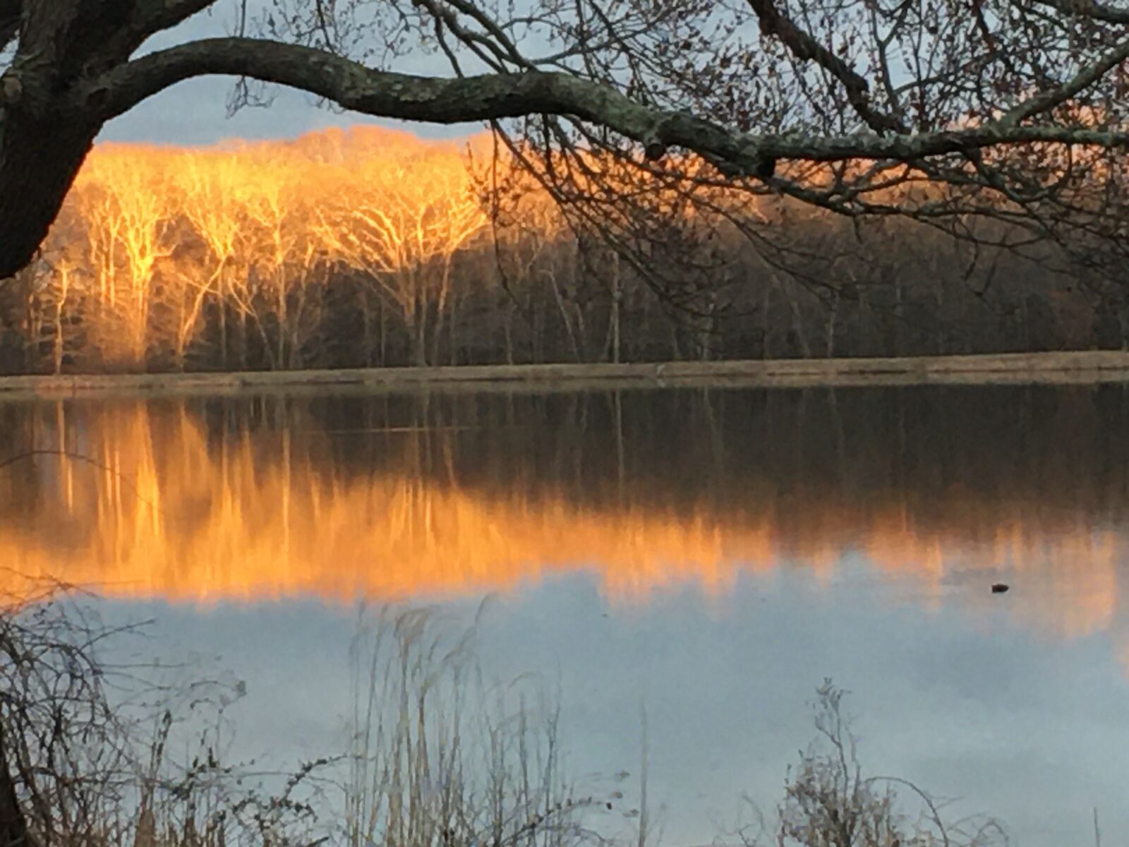 iPhone 6s Plus back camera 4.15mm f/2.2 sample photo. Sky, sunlight, pond photography