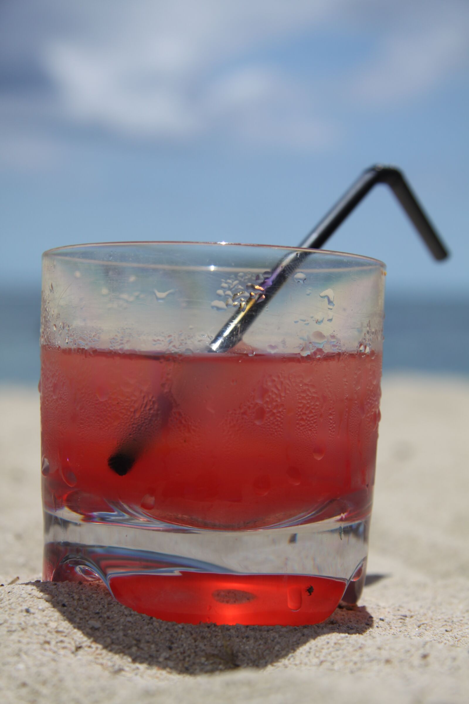 Canon EOS 50D sample photo. Glass, ice, cold photography