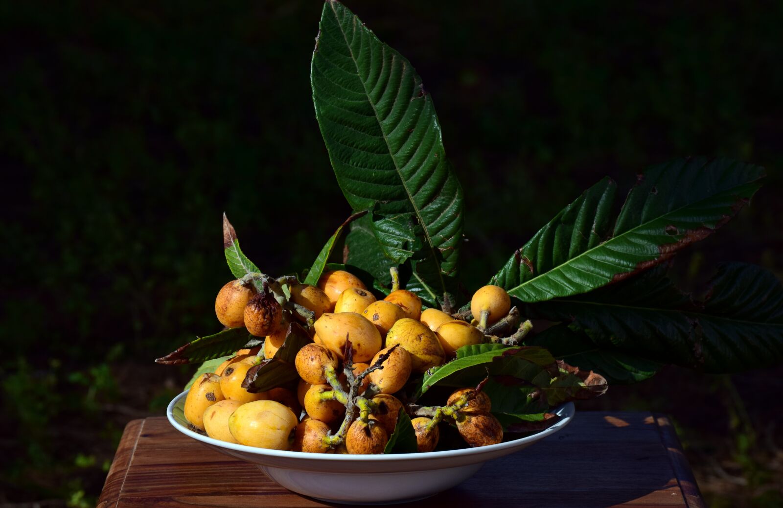 Nikon D3300 sample photo. Medlar, fruit, bio photography