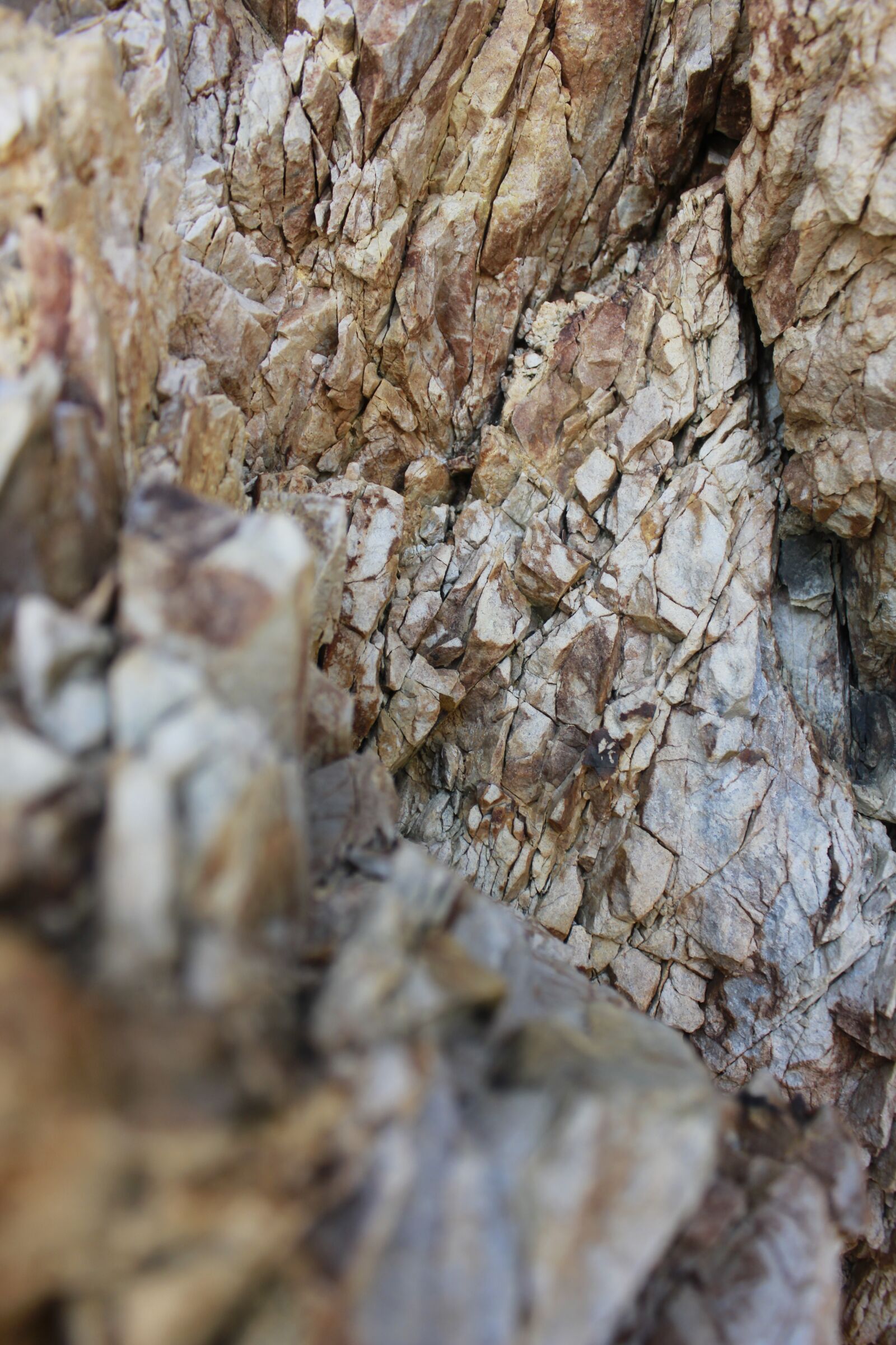 Canon EOS 550D (EOS Rebel T2i / EOS Kiss X4) sample photo. Rock, surface, background photography