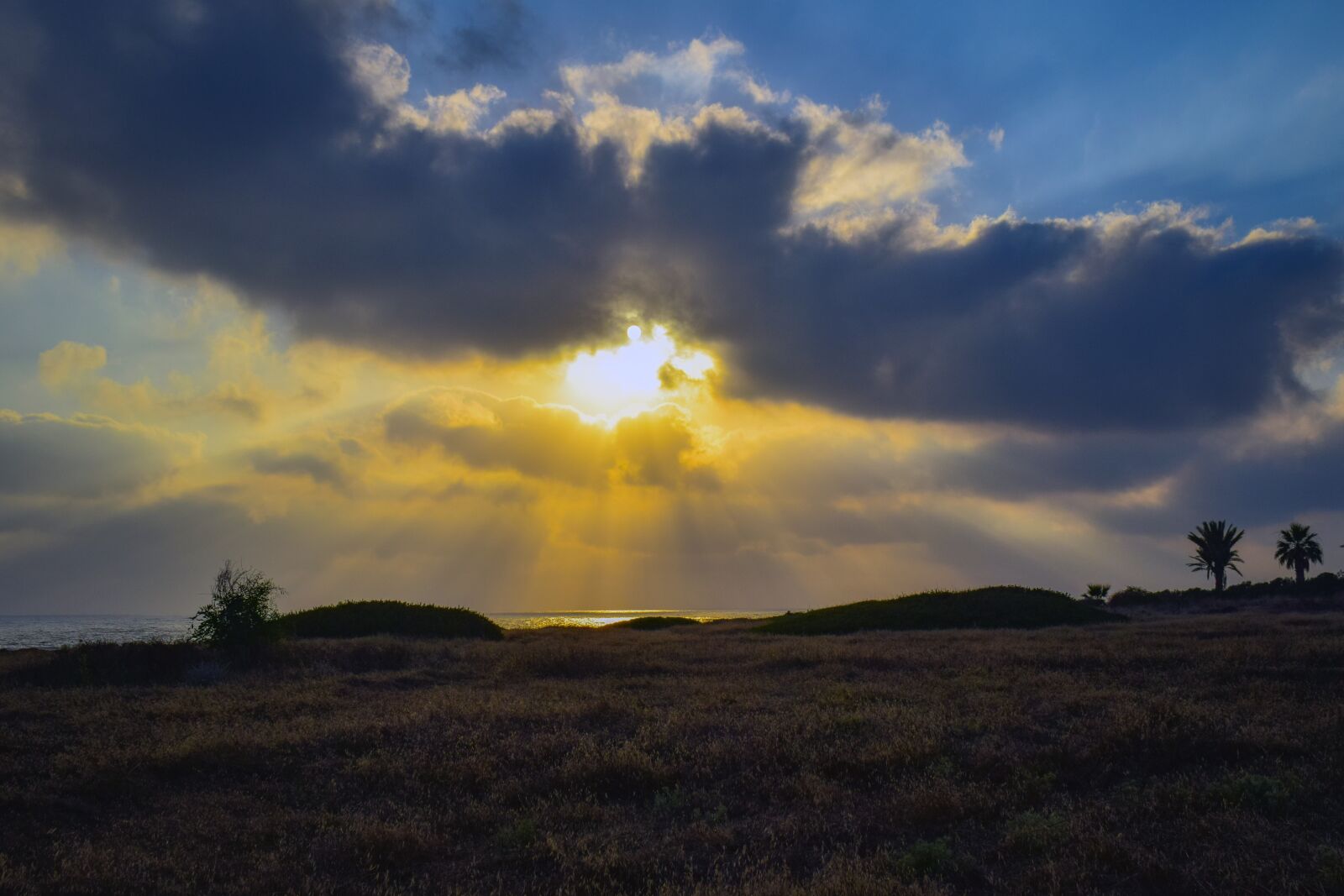 Nikon D3300 sample photo. Field, horizon, sunset photography