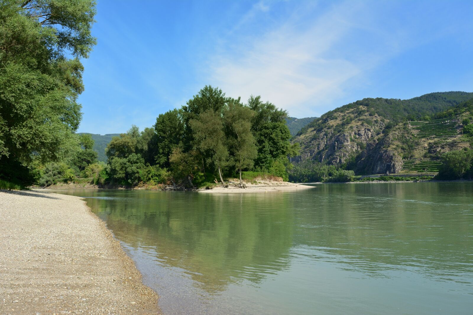 Nikon D5200 sample photo. Danube, auen, nature photography