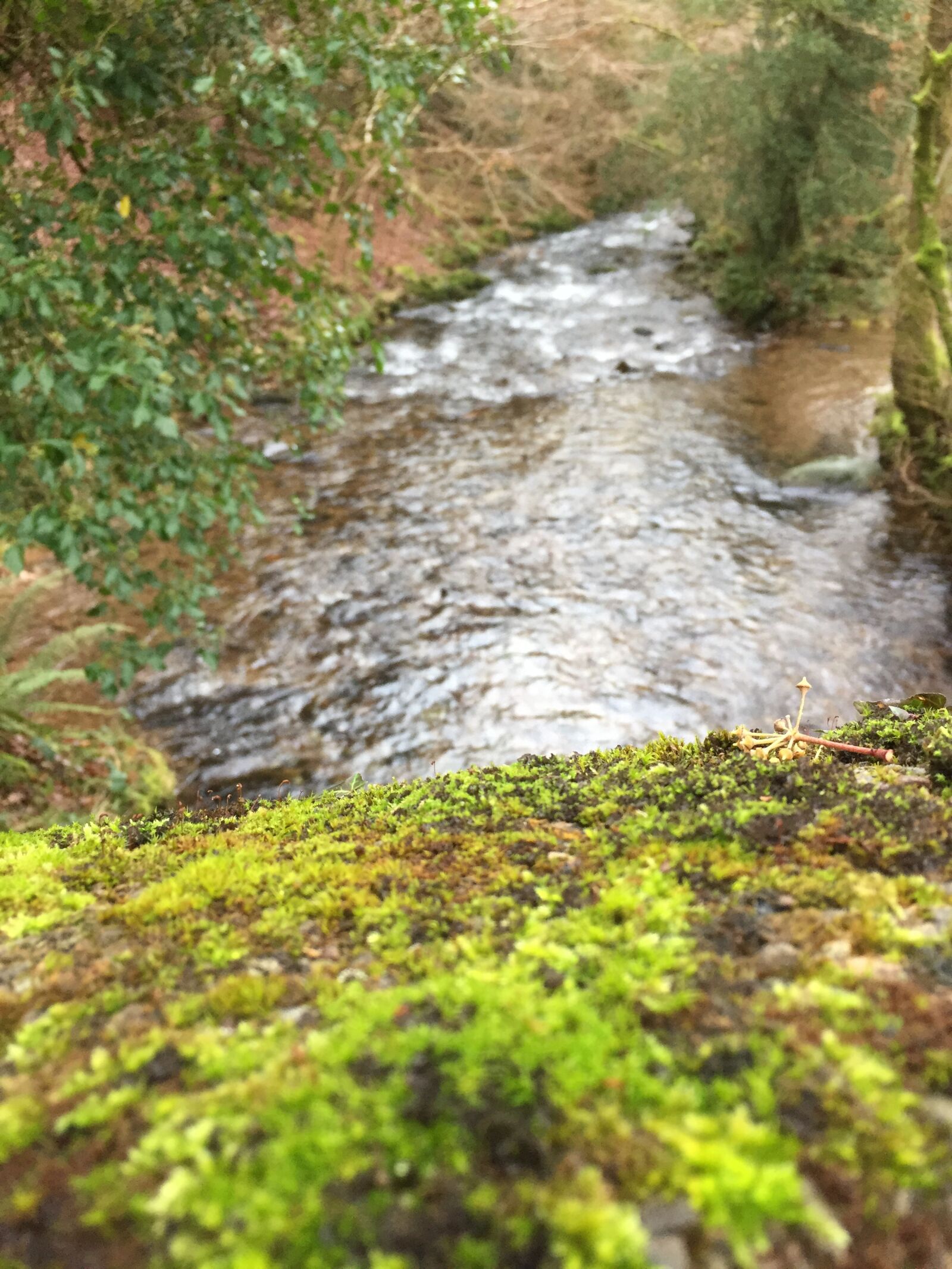 iPhone 6 back camera 4.15mm f/2.2 sample photo. Stream, nature, beauty spot photography