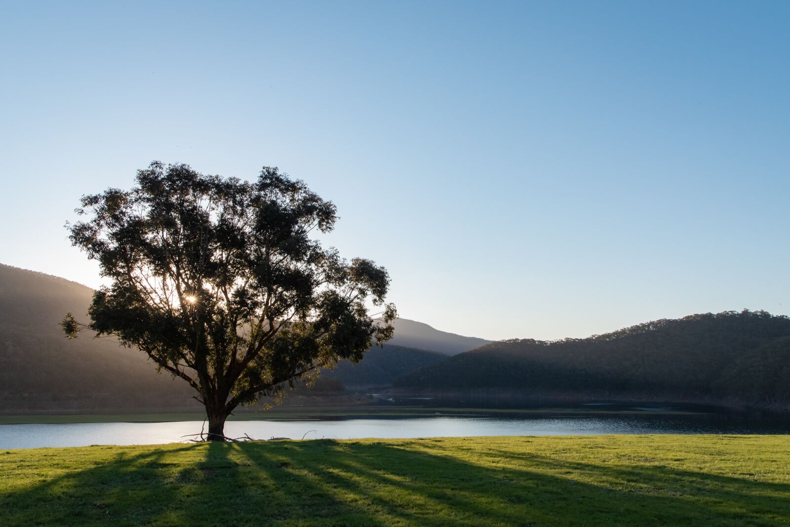 Nikon D750 sample photo. Lake, tree, nature photography