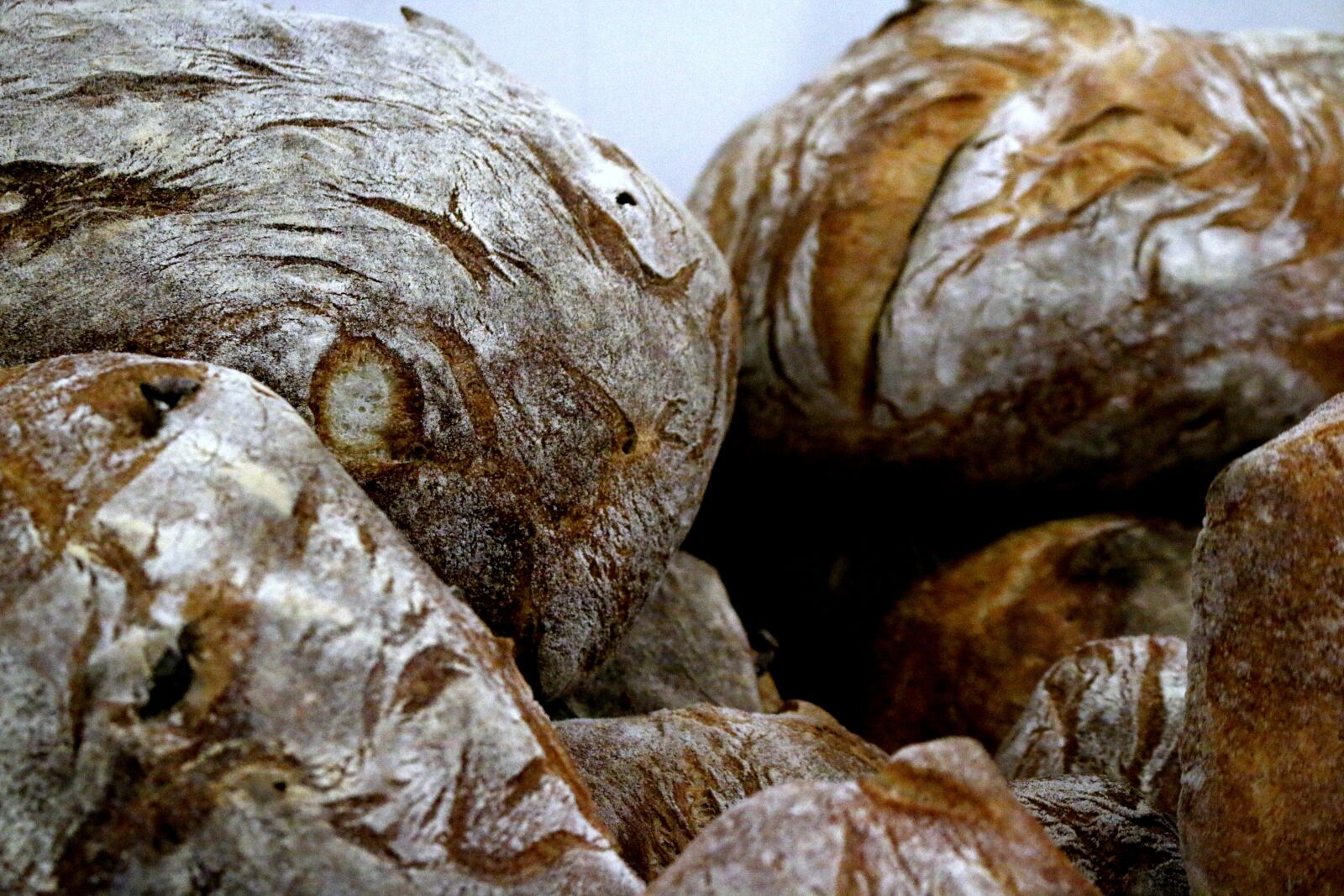 Canon EOS 70D sample photo. Bread, loaf, loaves photography