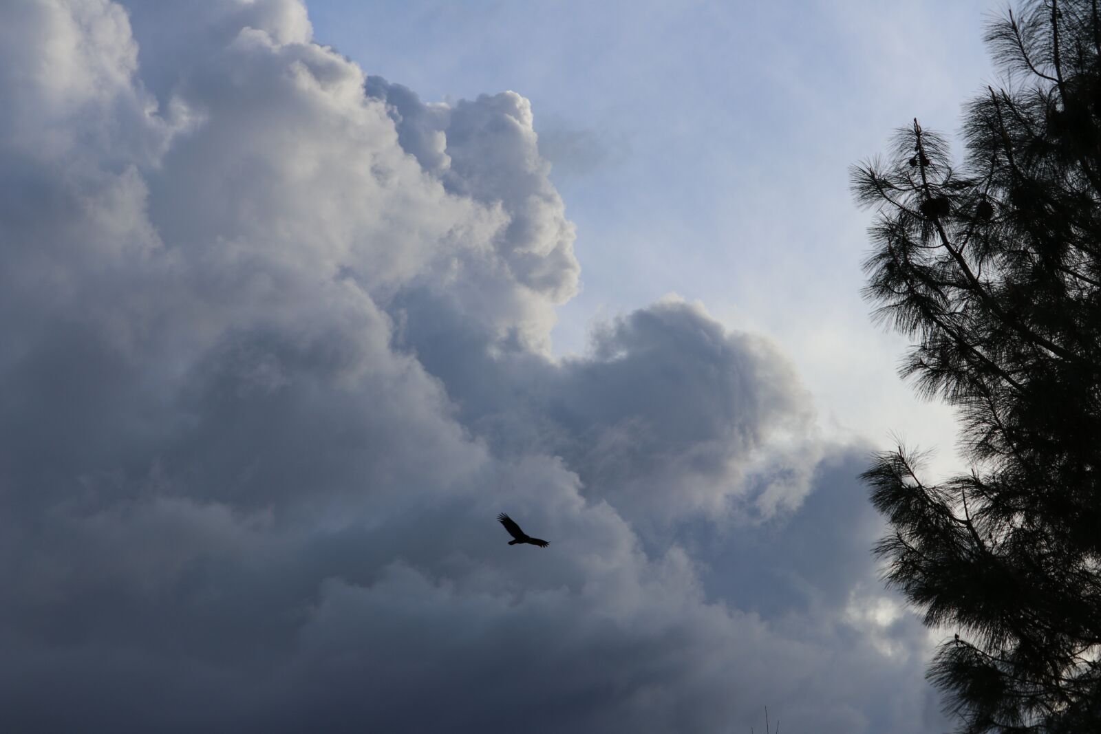 Canon EOS 80D + Canon EF-S 55-250mm F4-5.6 IS STM sample photo. Clouds, sky, nature photography