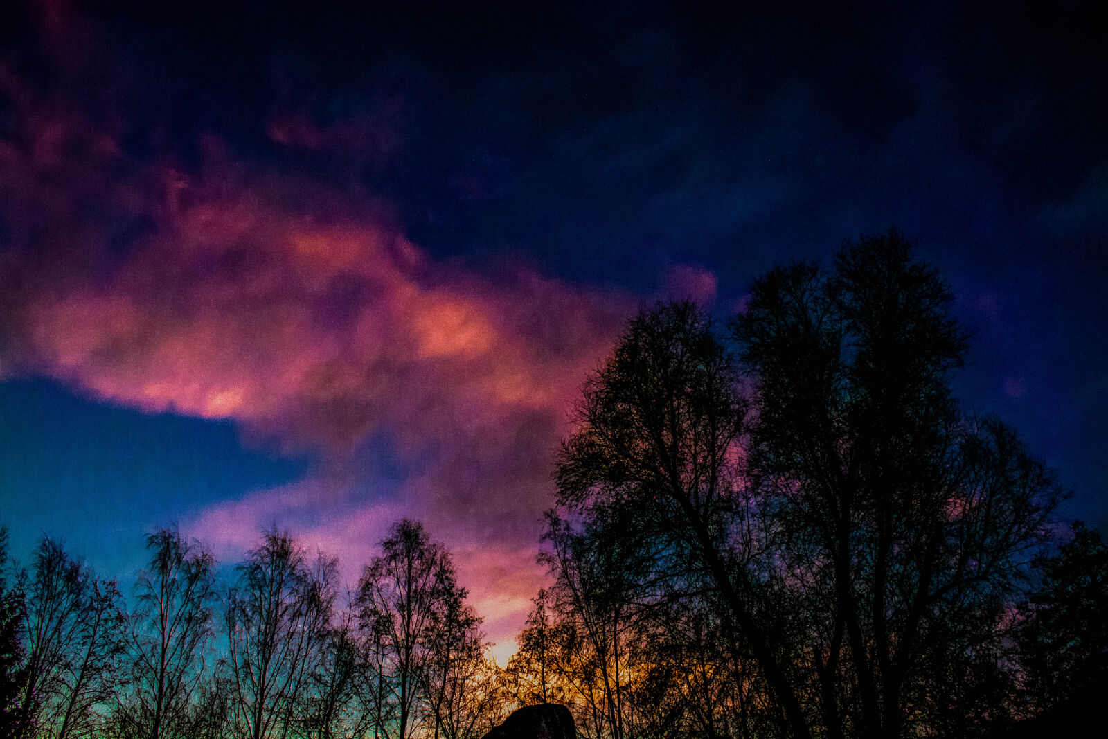 Nikon D5200 sample photo. Sky, sunrise, trees photography