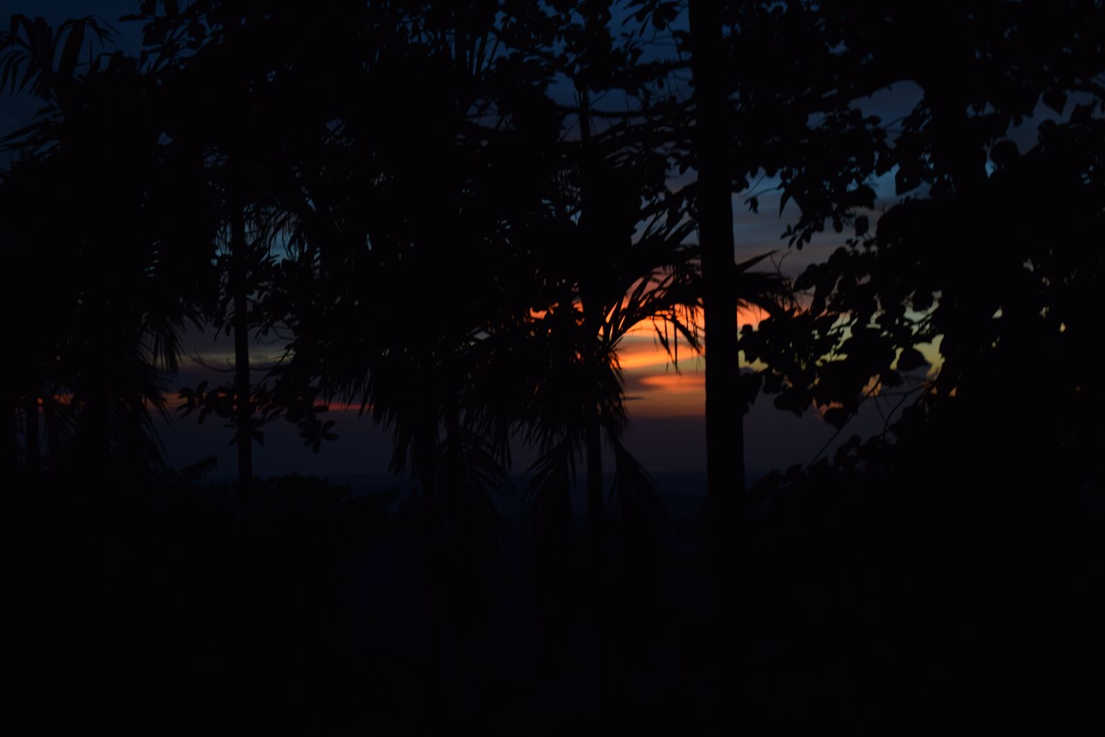 Nikon D5300 sample photo. Sunset, romantic, love photography