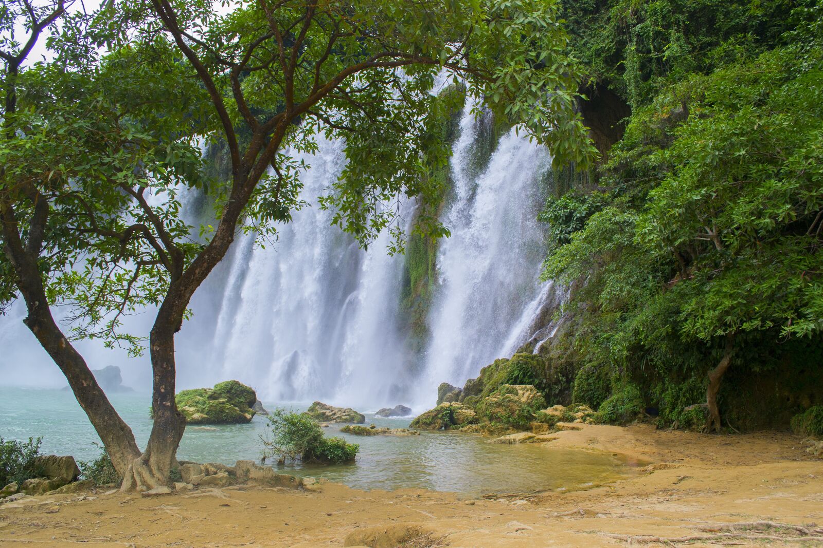 Nikon D3100 sample photo. Vietnam, waterfall, tree photography