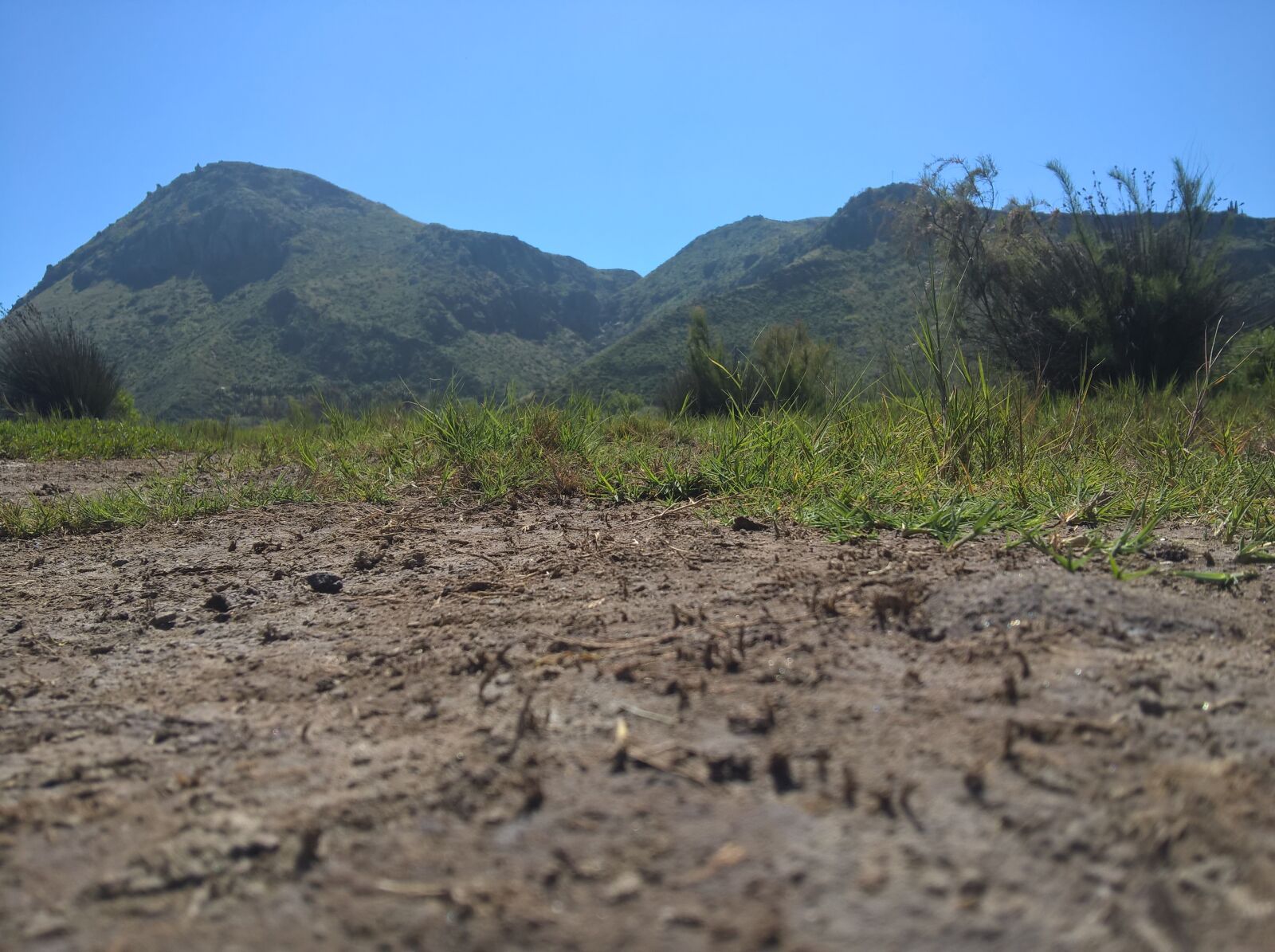 Microsoft Lumia 640 XL sample photo. Floor, hill, land, plants photography