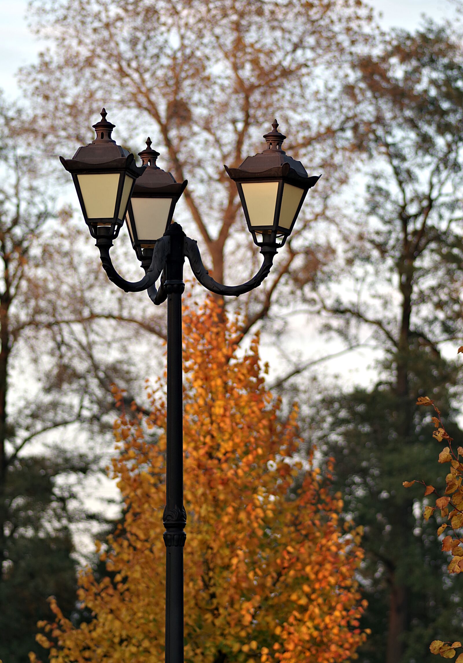 Pentax K-S2 sample photo. Replacement lamp, antique, autumn photography