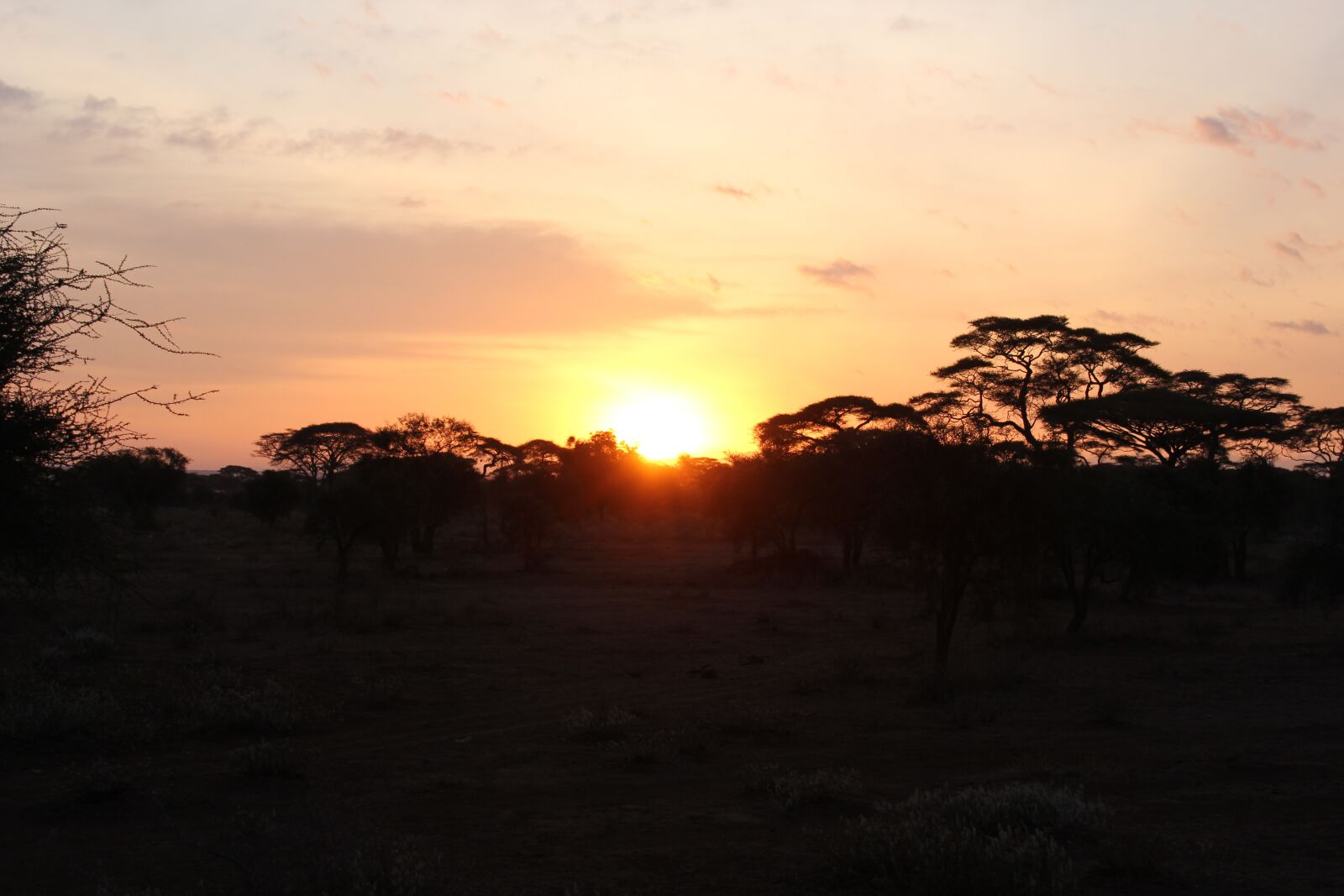 Canon EF-S 18-55mm F3.5-5.6 IS sample photo. Sunrise, kenya, national park photography