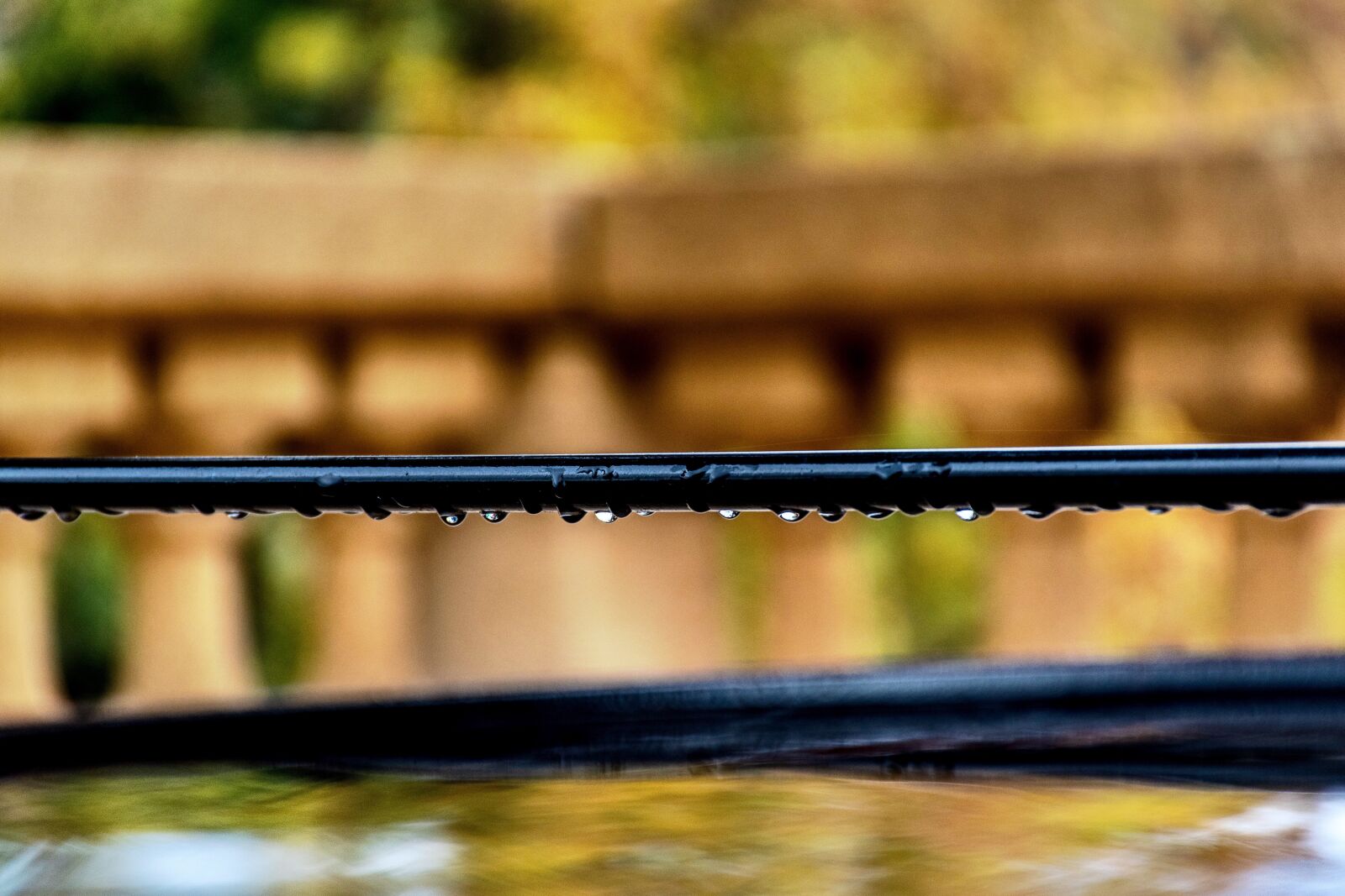 Nikon D5600 sample photo. Raindrops, water, droplets photography