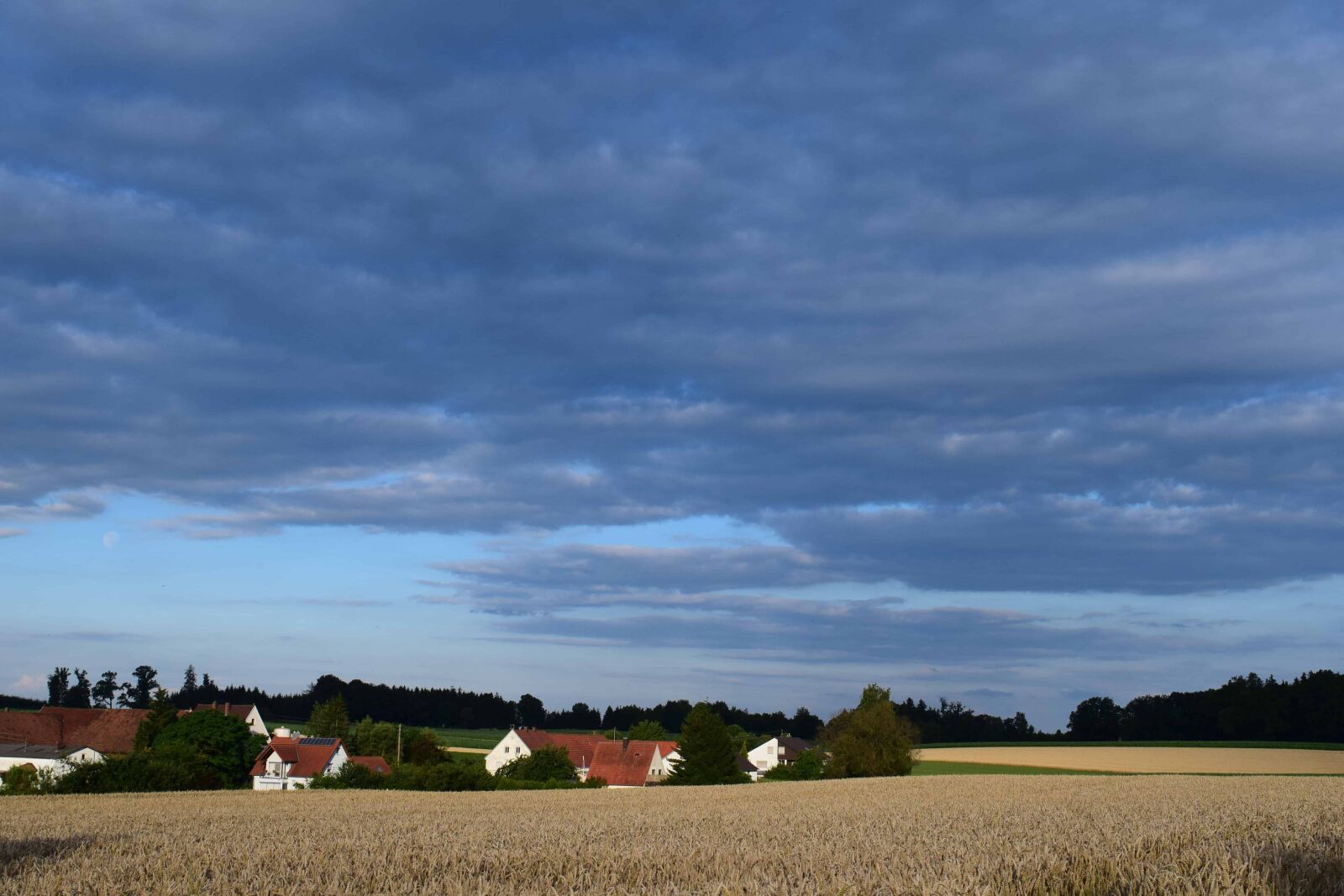 Nikon D3300 sample photo. Blue sky, nature, landscape photography