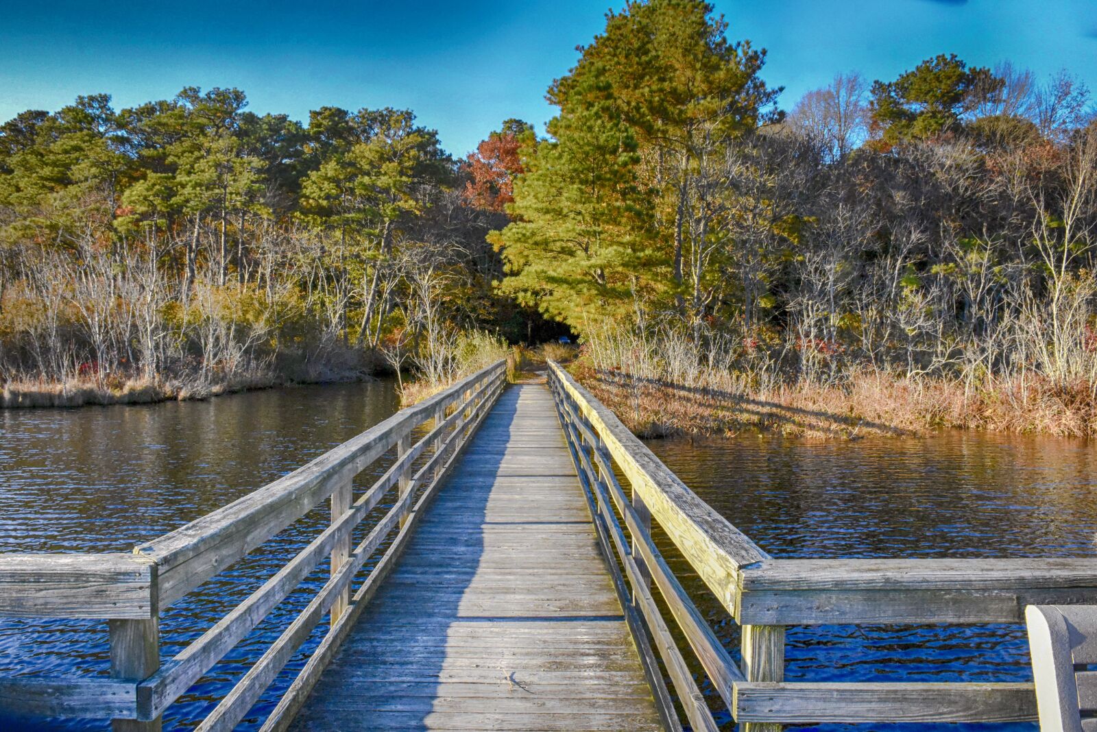 Nikon D7200 sample photo. Bridge, fall, autumn photography
