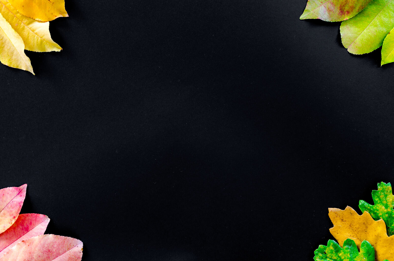 Nikon D5100 sample photo. Abstract, autumn, background, beautiful photography