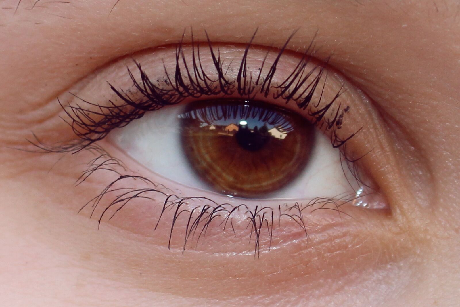 Canon EOS 600D (Rebel EOS T3i / EOS Kiss X5) sample photo. Eye, brown, view photography