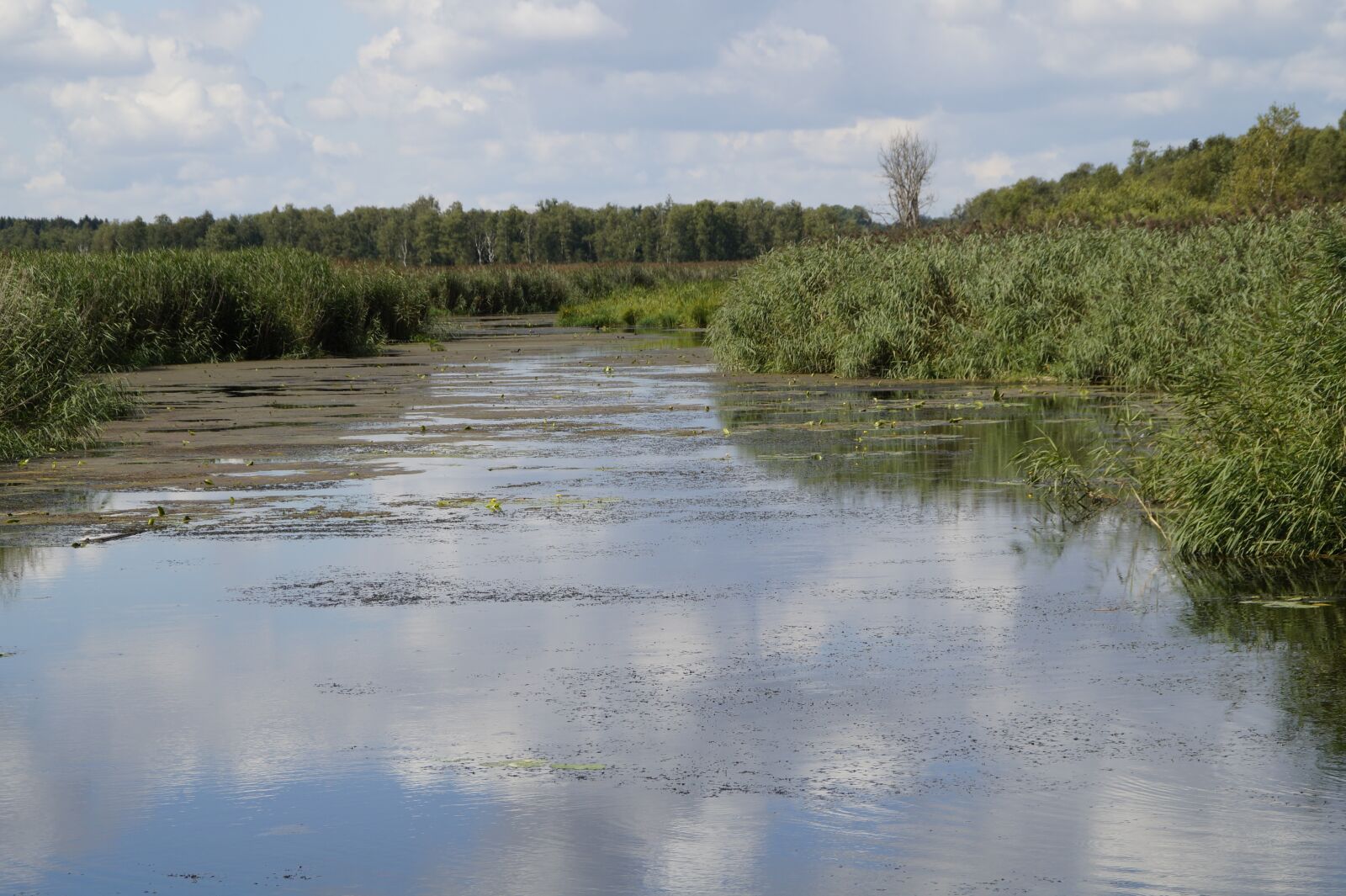 Sony SLT-A58 sample photo. Landscape, spring lake, nature photography