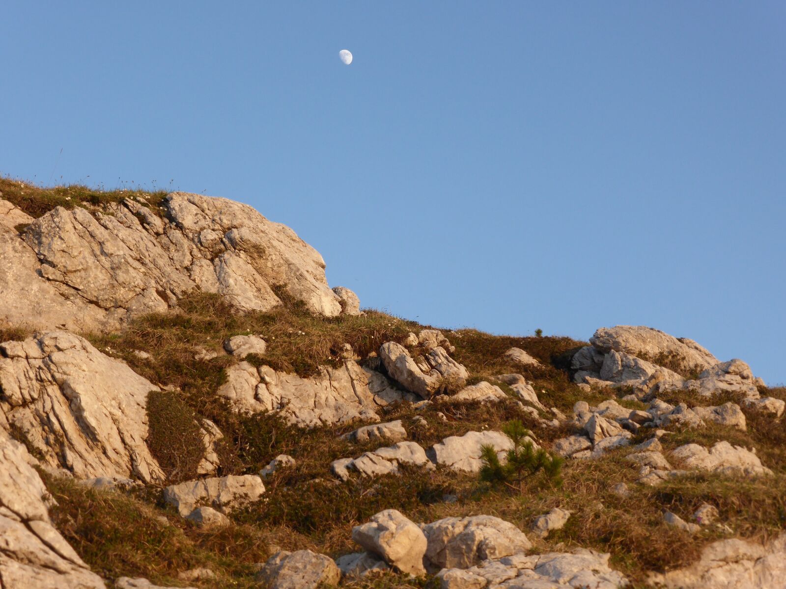 Panasonic Lumix DMC-ZS30 (Lumix DMC-TZ40) sample photo. Rocks, sky, luna photography