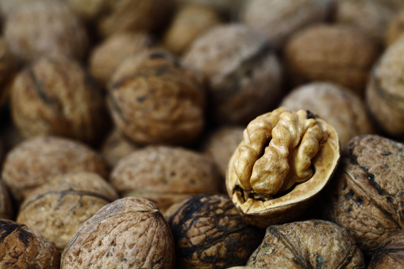 Canon EOS 700D (EOS Rebel T5i / EOS Kiss X7i) sample photo. Walnut, walnuts, nuts photography