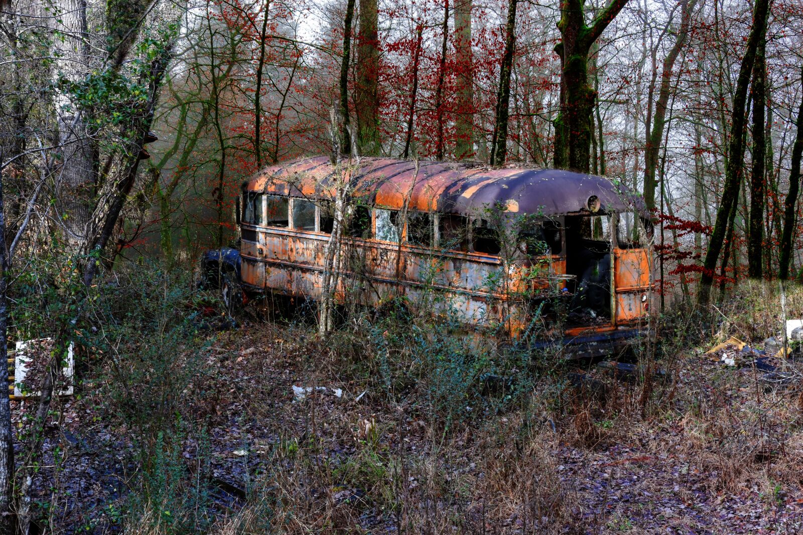 Nikon D7200 sample photo. Lost places, old bus photography