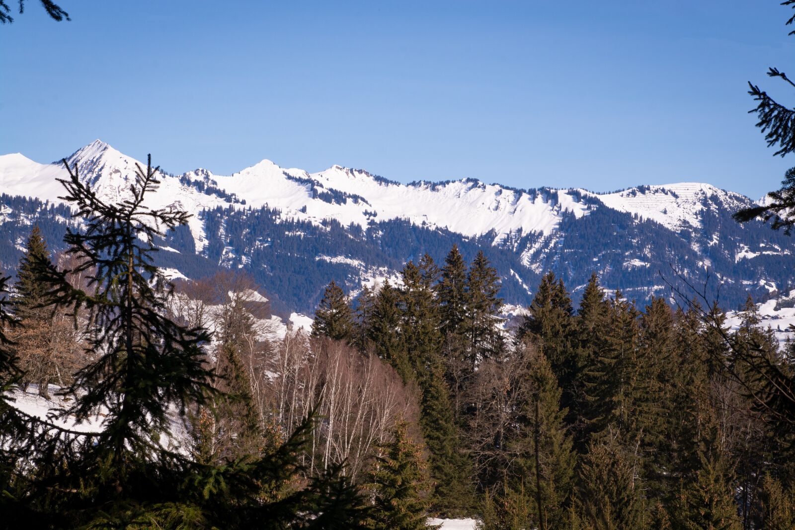 Nikon D7100 sample photo. Landscape, nature, winter photography