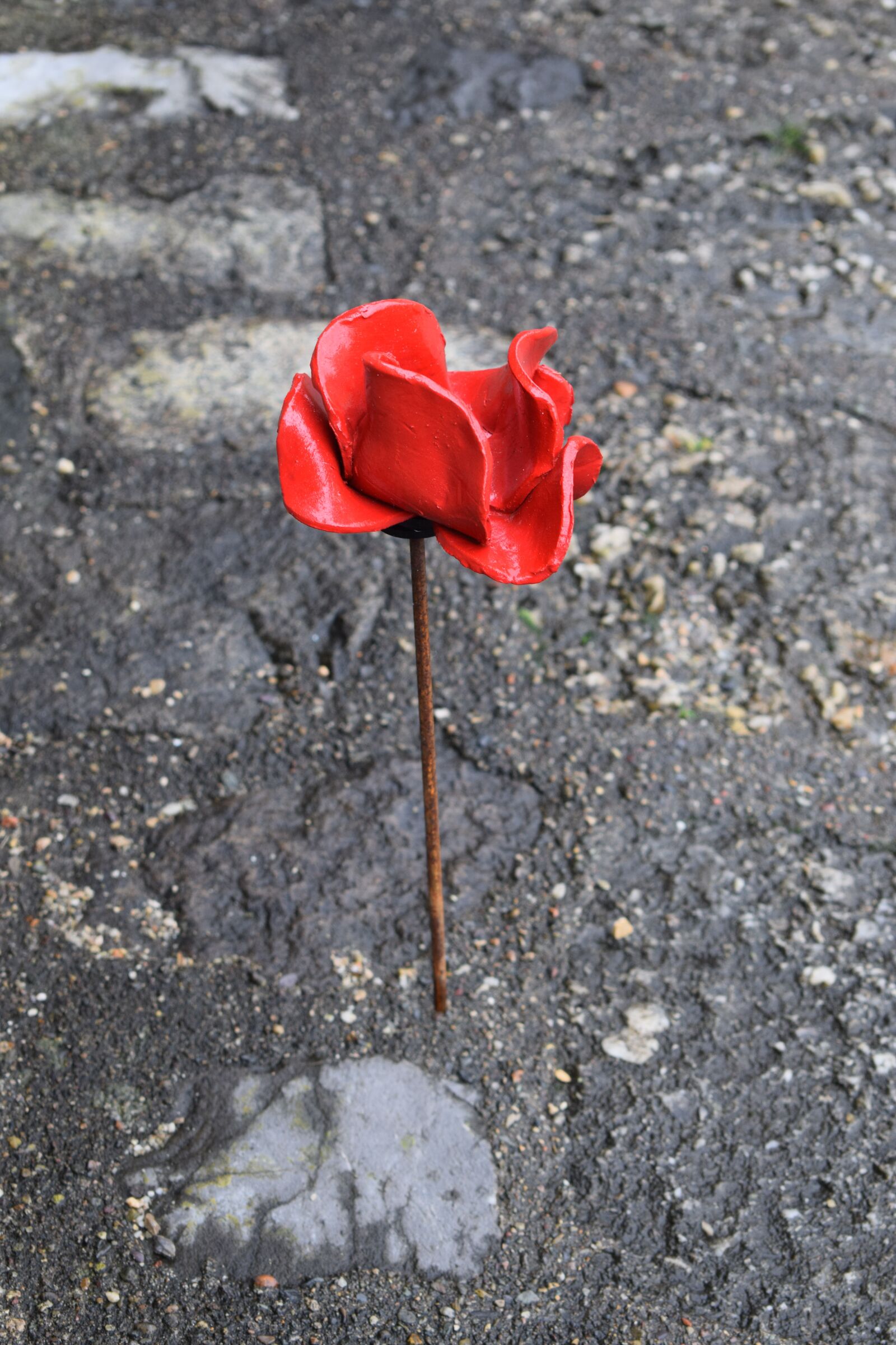 Nikon D5300 sample photo. Poppy, castle, landmark photography