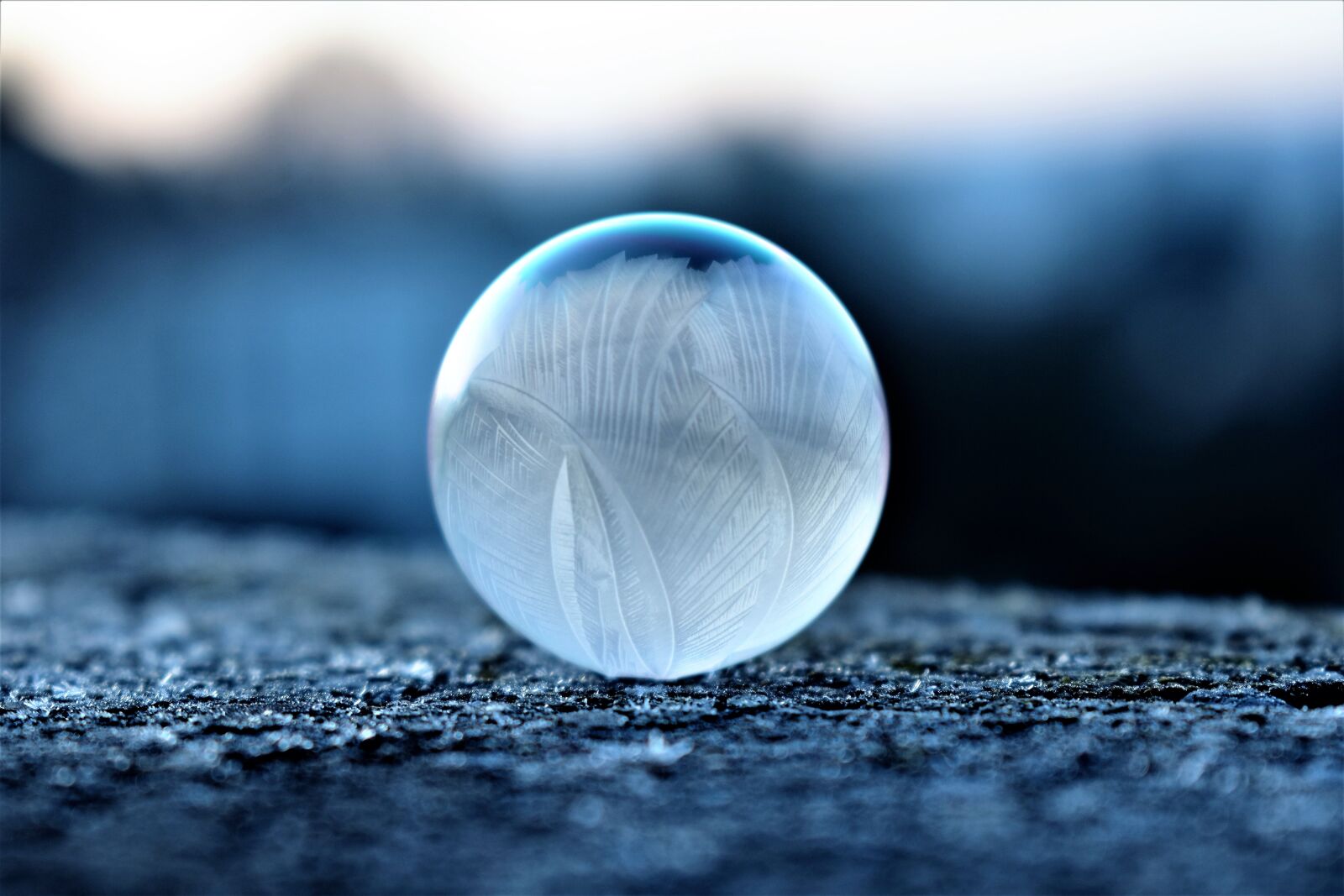 Nikon D5500 sample photo. Soap bubble, frozen, eiskristalle photography