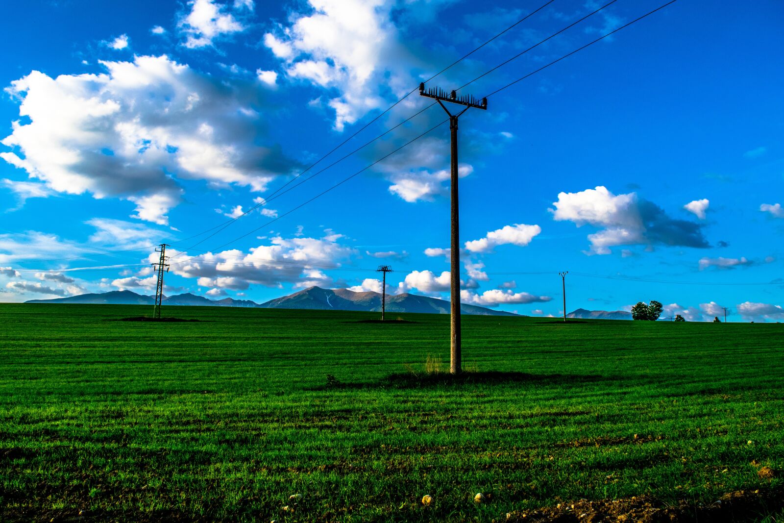 Nikon D3300 sample photo. Heaven, sky, grass photography
