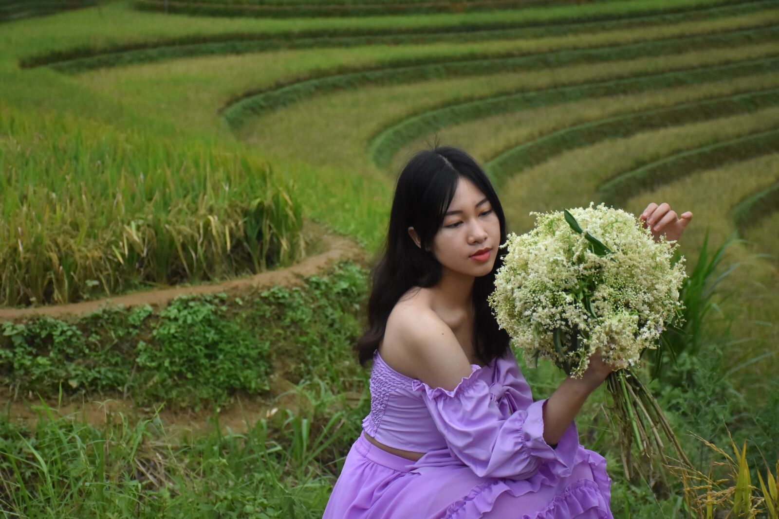 Nikon D7200 sample photo. Terraces, mountains, vietnam photography
