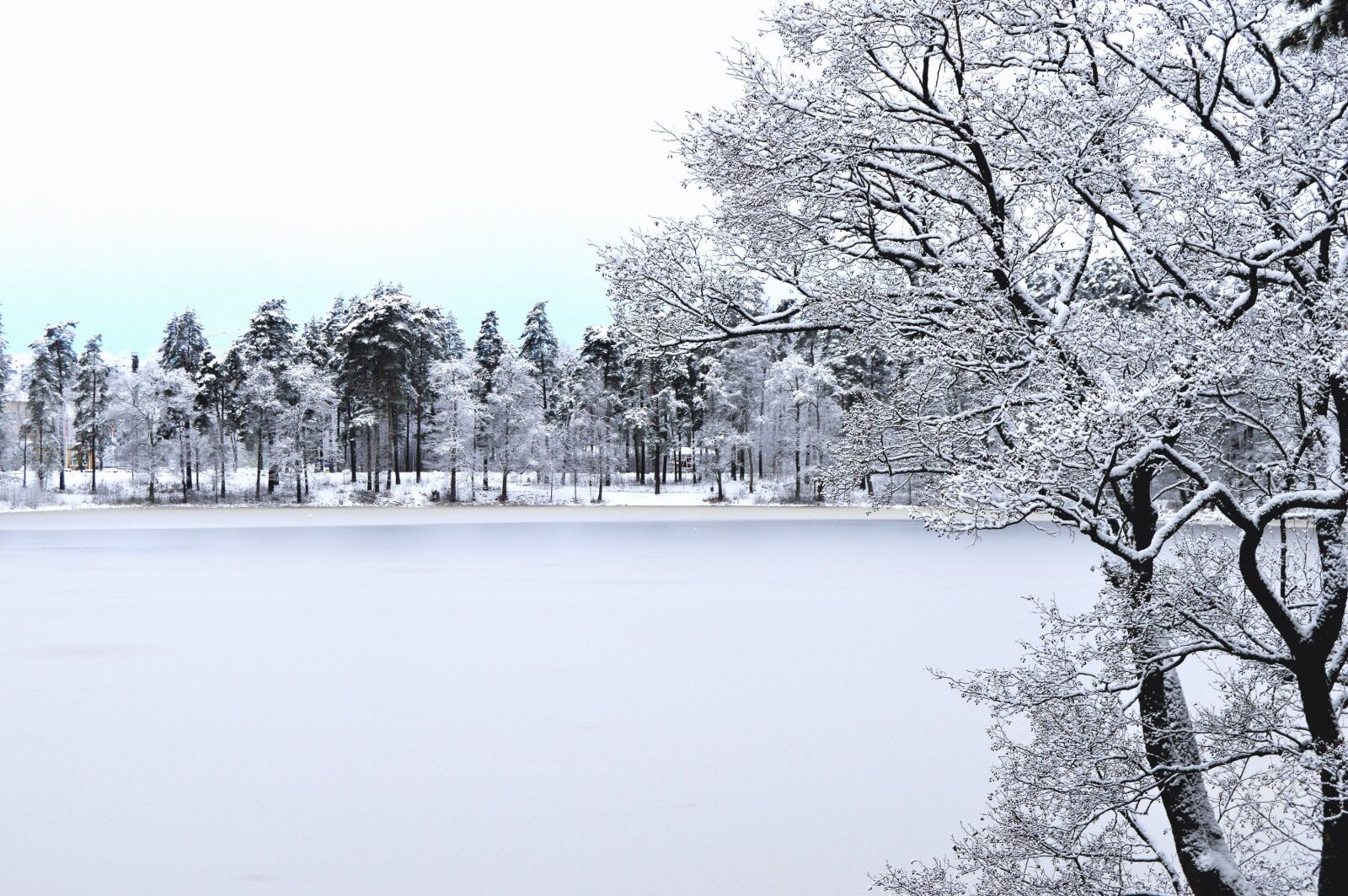 Nikon D3200 sample photo. Winter, snow, cold photography