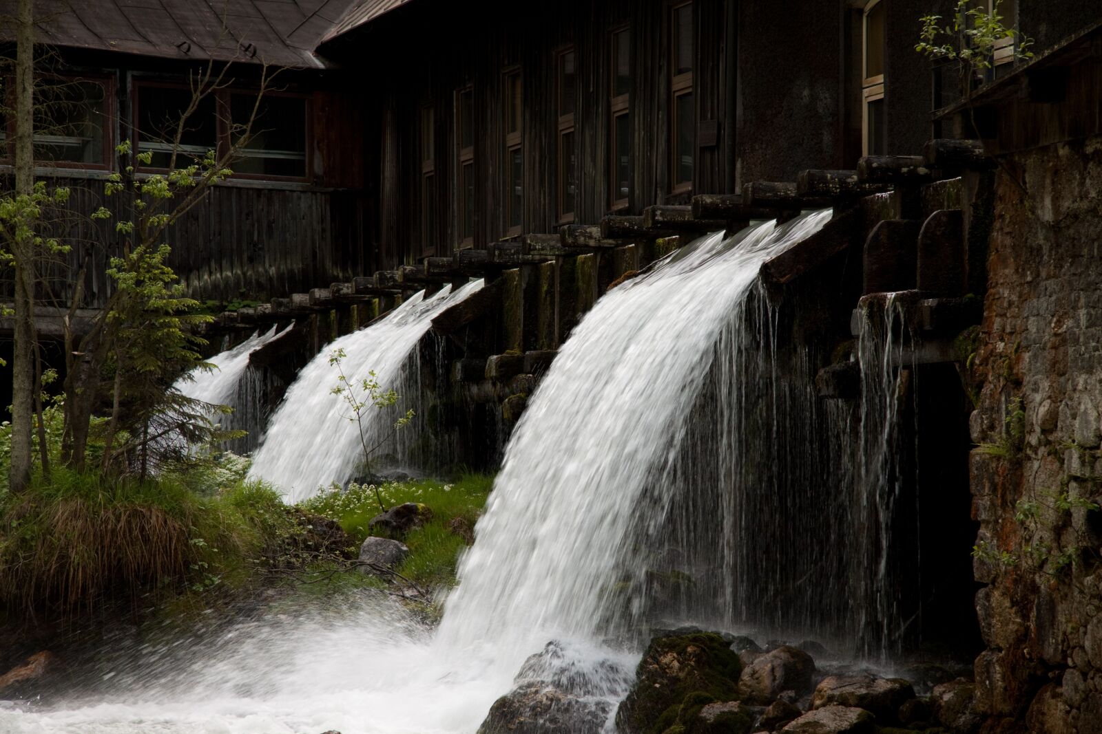 Canon EF-S 17-85mm F4-5.6 IS USM sample photo. Waterfall, plant, water photography