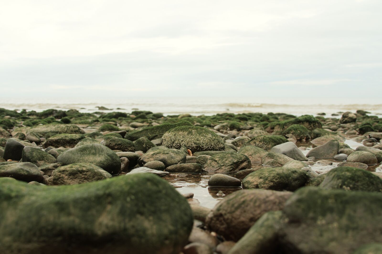 Canon EOS 7D sample photo. Low tide, seaside rocks photography