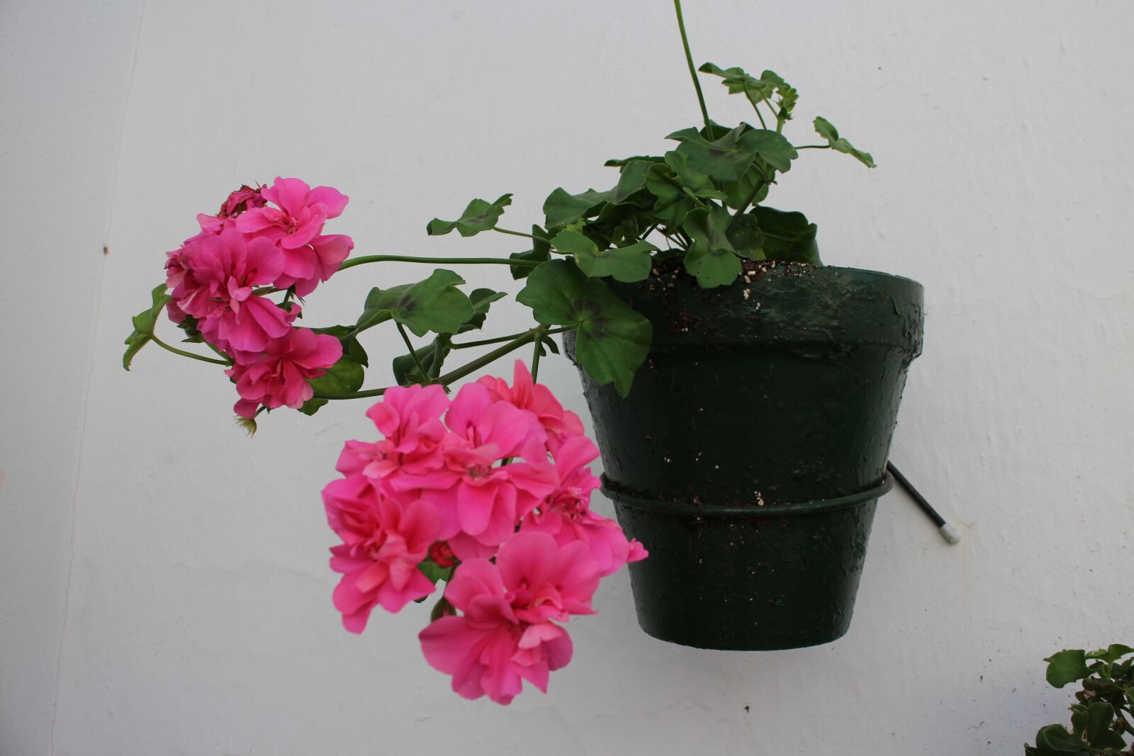 Canon EOS M sample photo. Flowerpot, flower, andalusian town photography