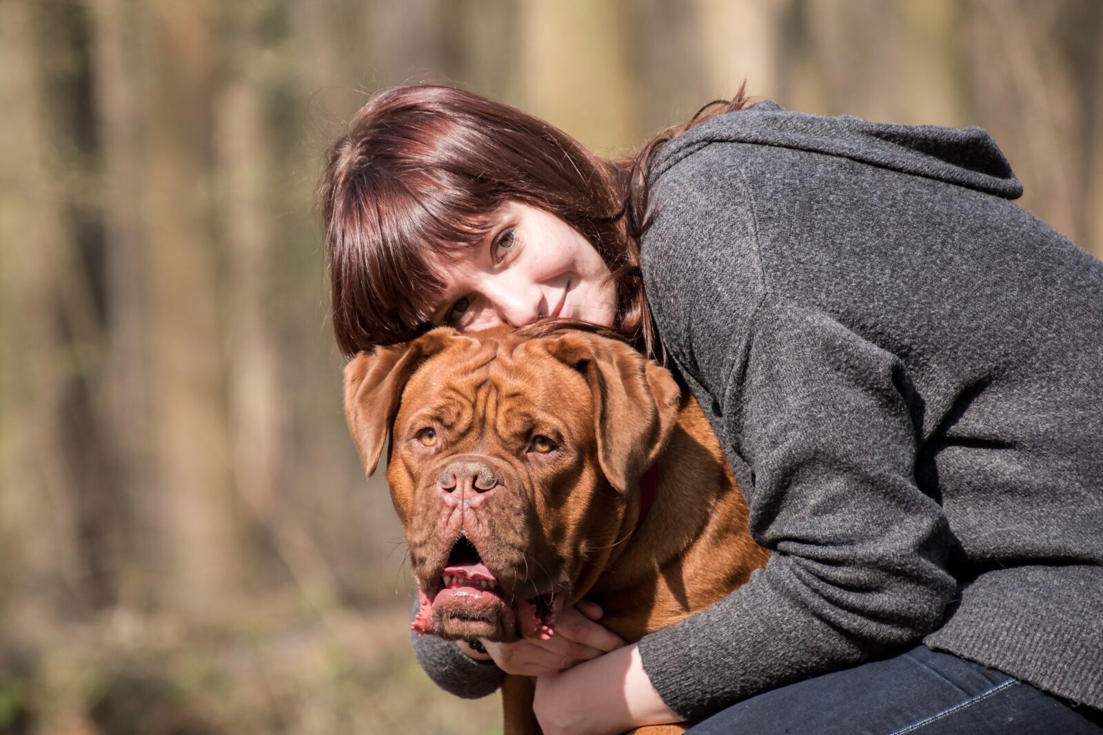 Nikon D5600 sample photo. Animal, dog, bordeaux mastiff photography