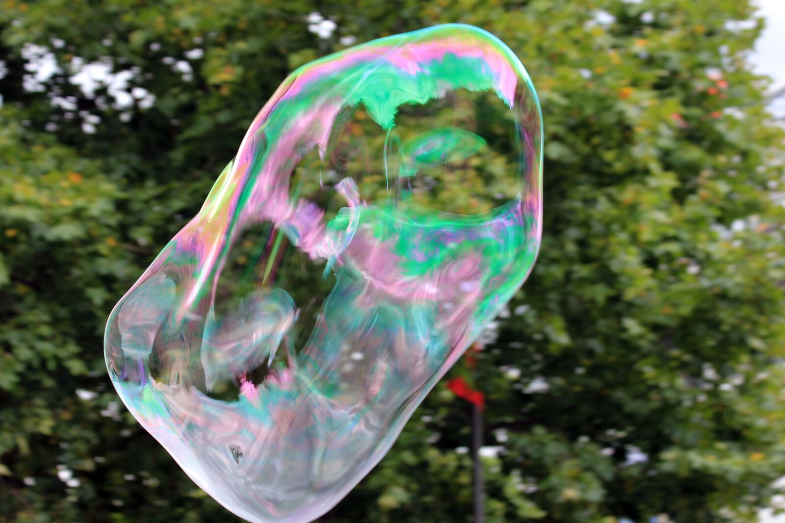 Canon EOS 550D (EOS Rebel T2i / EOS Kiss X4) sample photo. Bubbles, soap, arnre photography