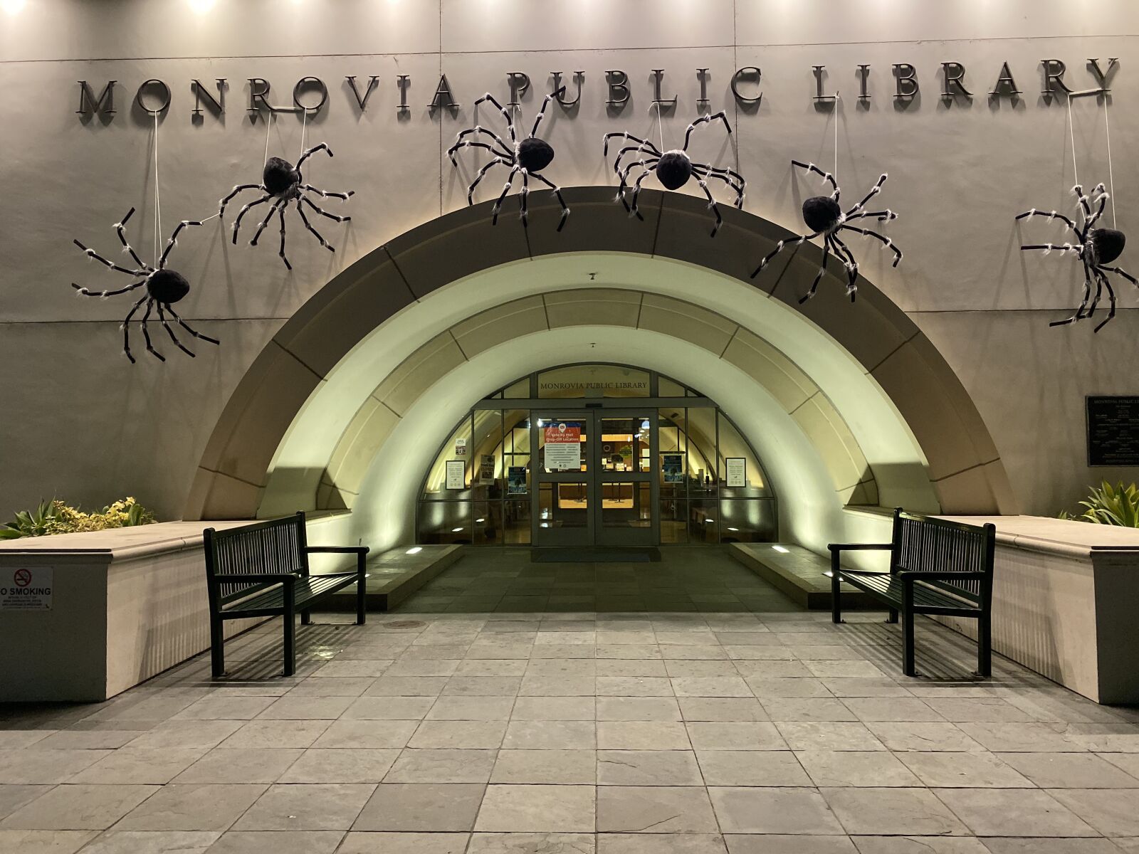 Apple iPhone 11 Pro Max sample photo. Halloween decorations, public library photography