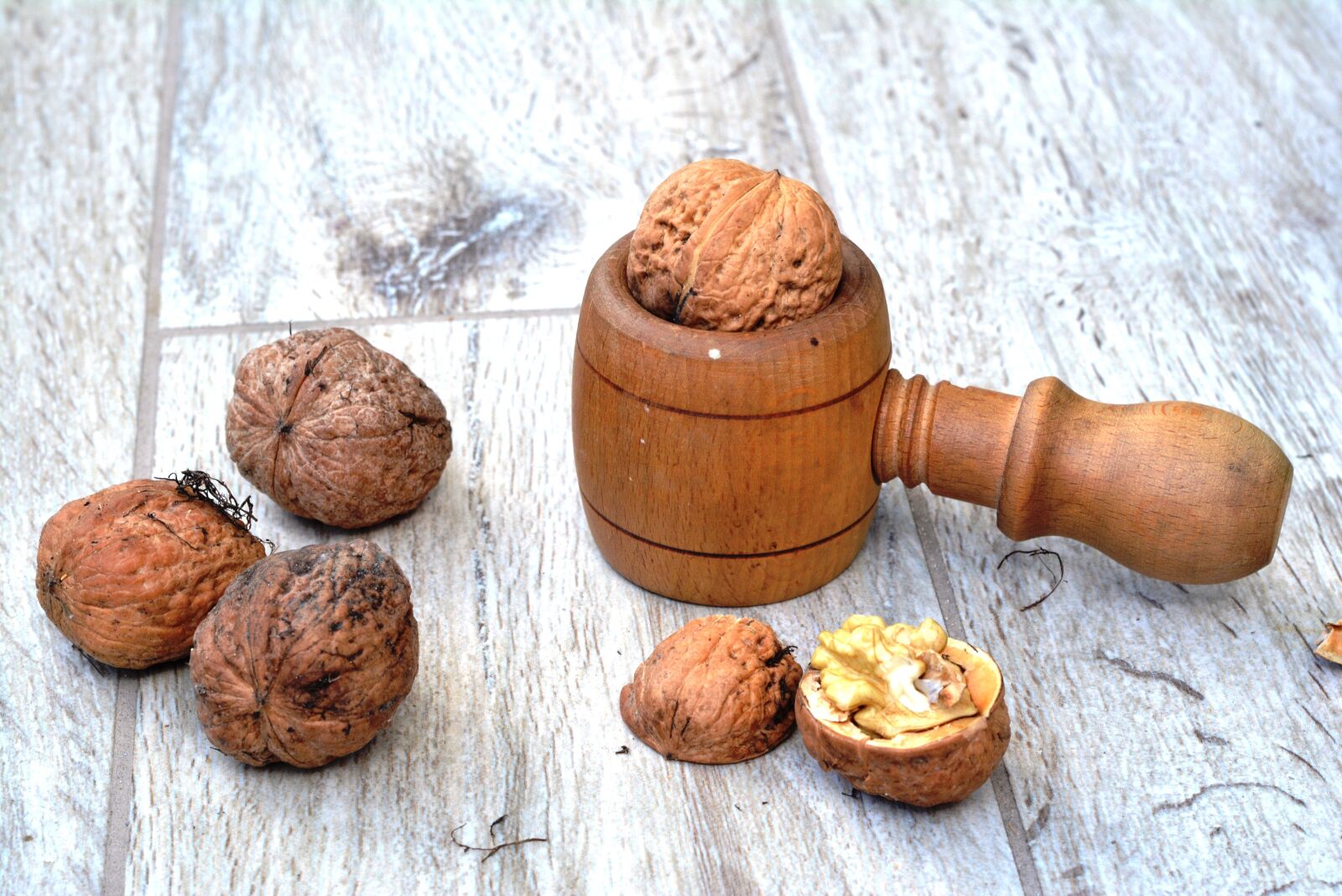 Nikon D5200 sample photo. Walnut, walnuts, smash photography