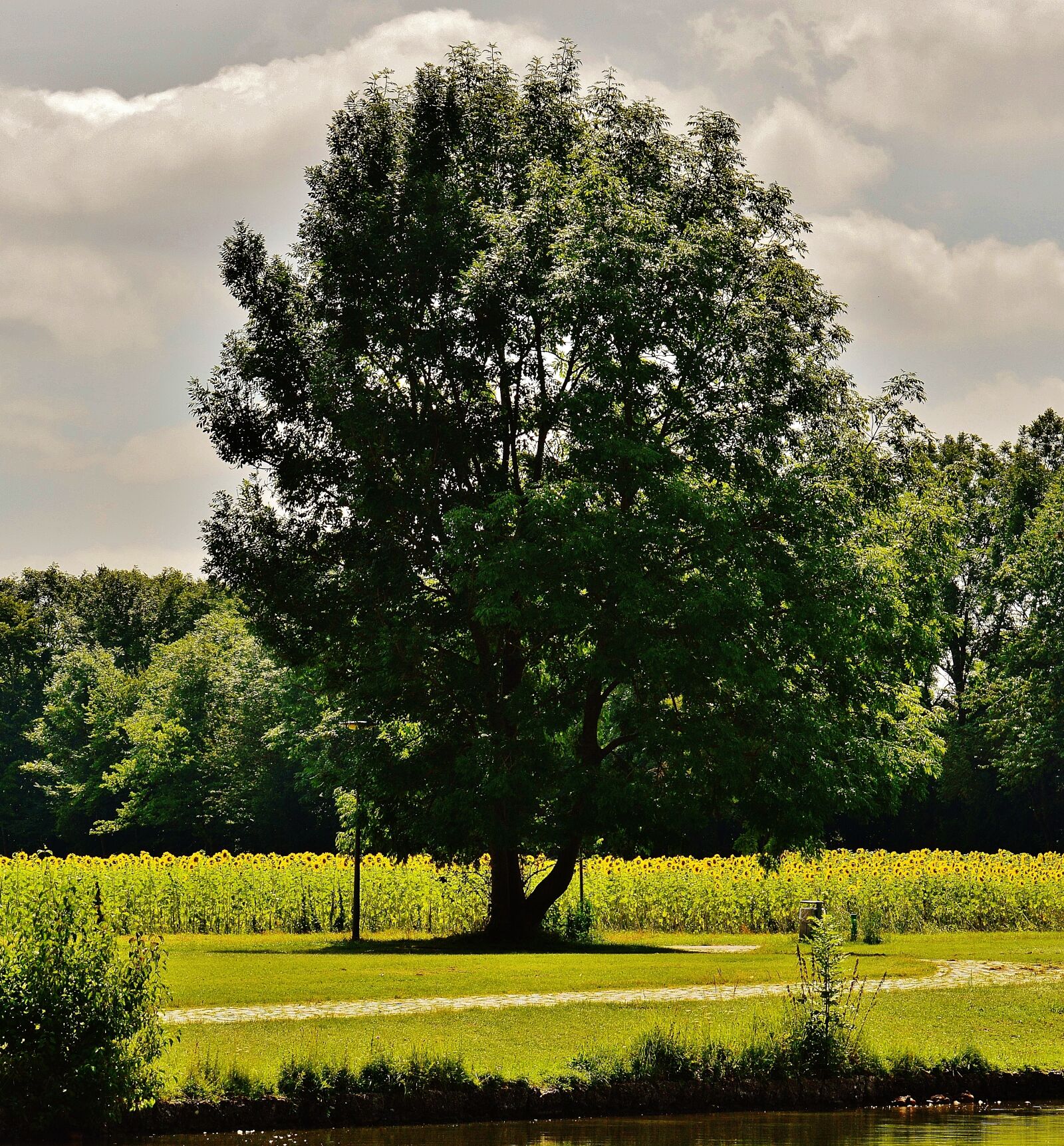 Nikon D3200 sample photo. Pond, waters, landscape photography