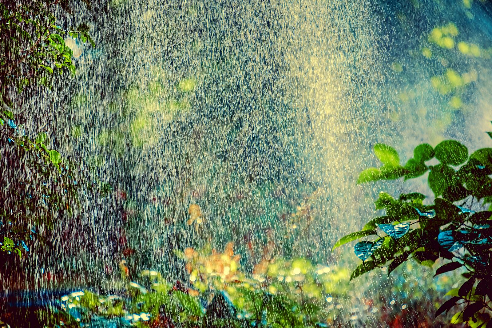 Fujifilm X-T10 sample photo. Sprinkler, irrigation, backlighting photography