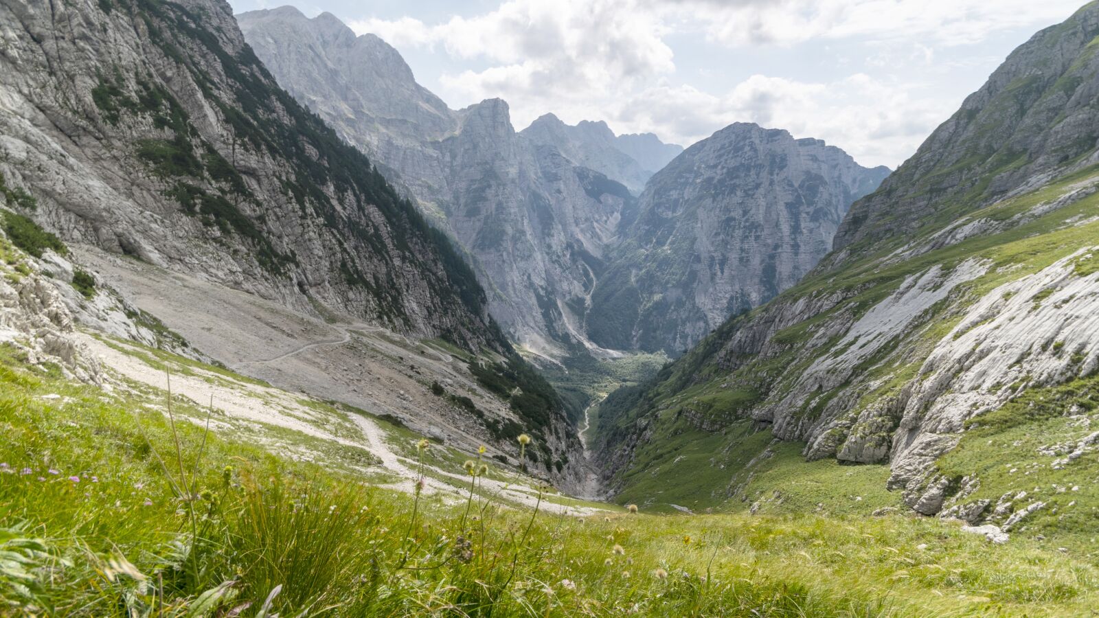 Nikon D3300 sample photo. Alps, mountains, panorama photography