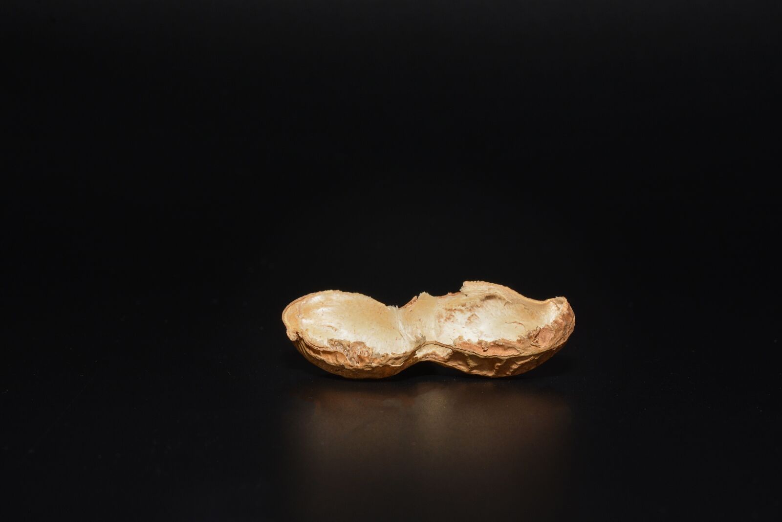 Nikon D7100 sample photo. Peanut, cut in half photography