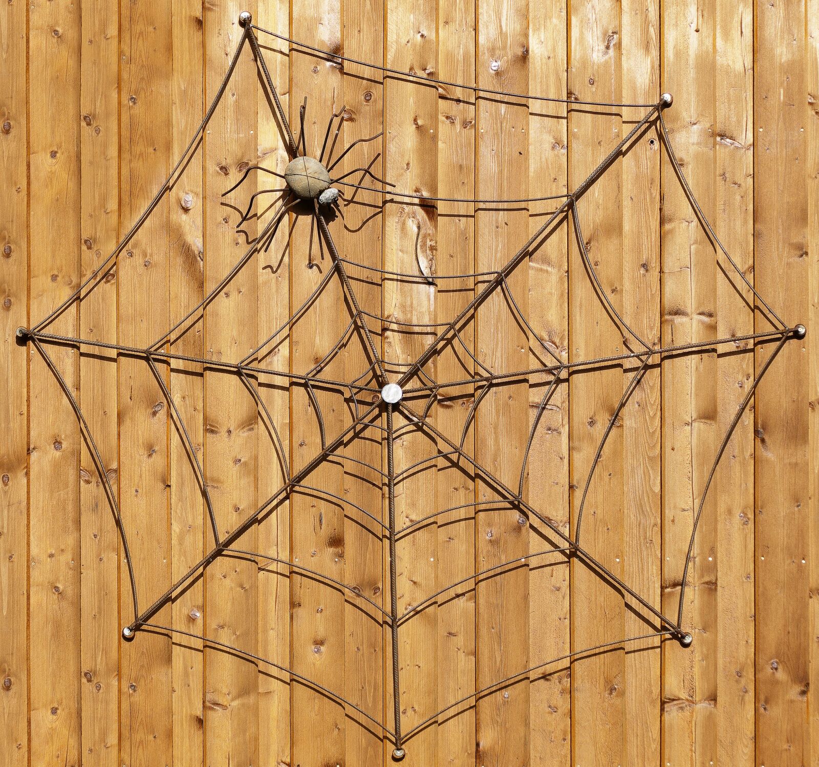 Panasonic Lumix DMC-FZ1000 sample photo. Wooden wall, spider, cobweb photography