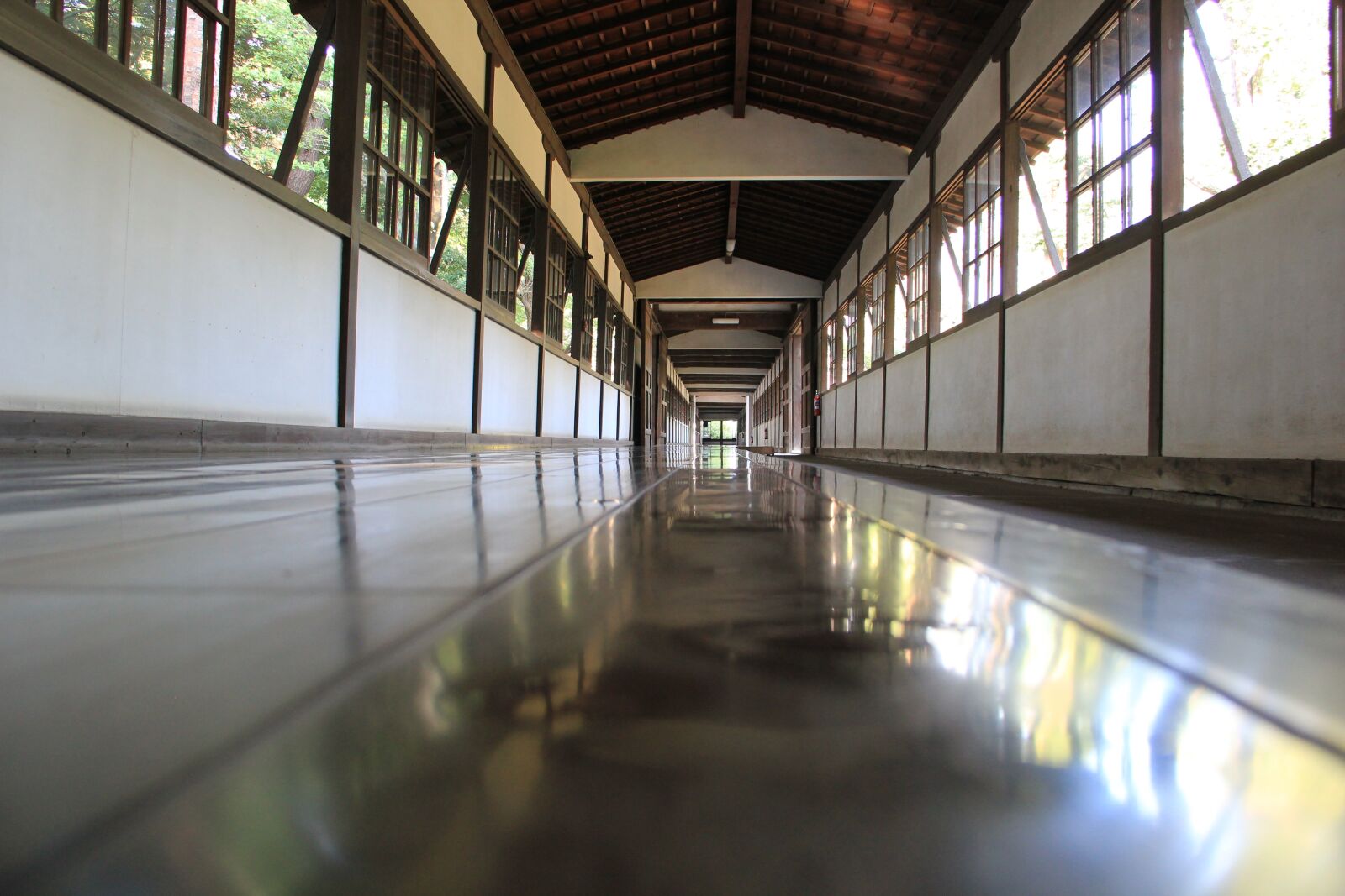Canon EOS 550D (EOS Rebel T2i / EOS Kiss X4) sample photo. Floor, reflection, wood photography