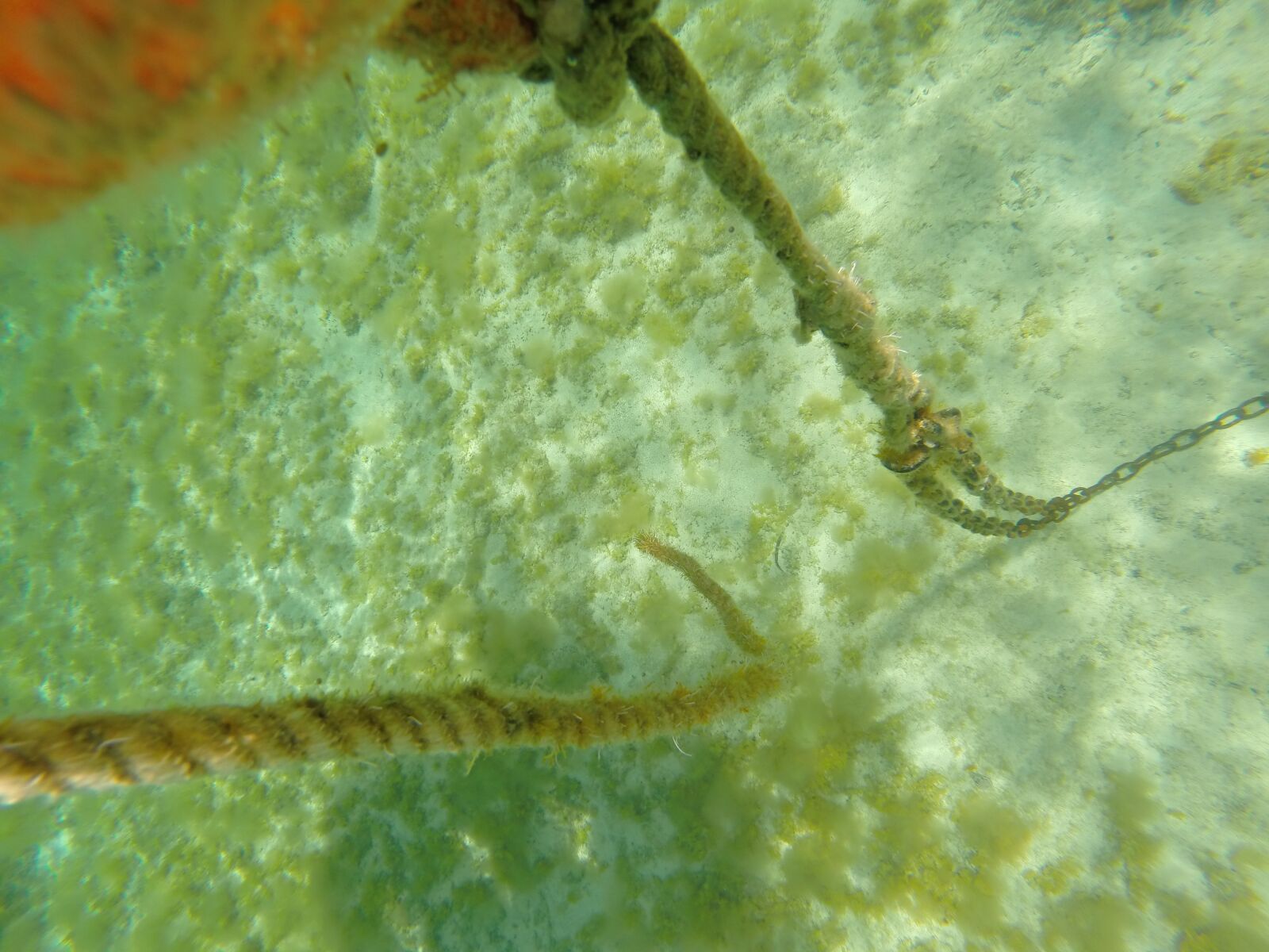 GoPro HERO3+ Black Edition sample photo. Boje, underwater, chain photography