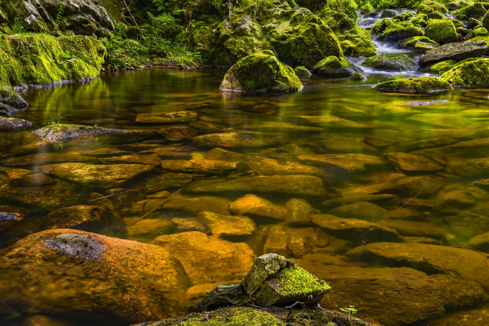 Sony a6300 + Sigma 30mm F2.8 EX DN sample photo. Water, river, nature photography