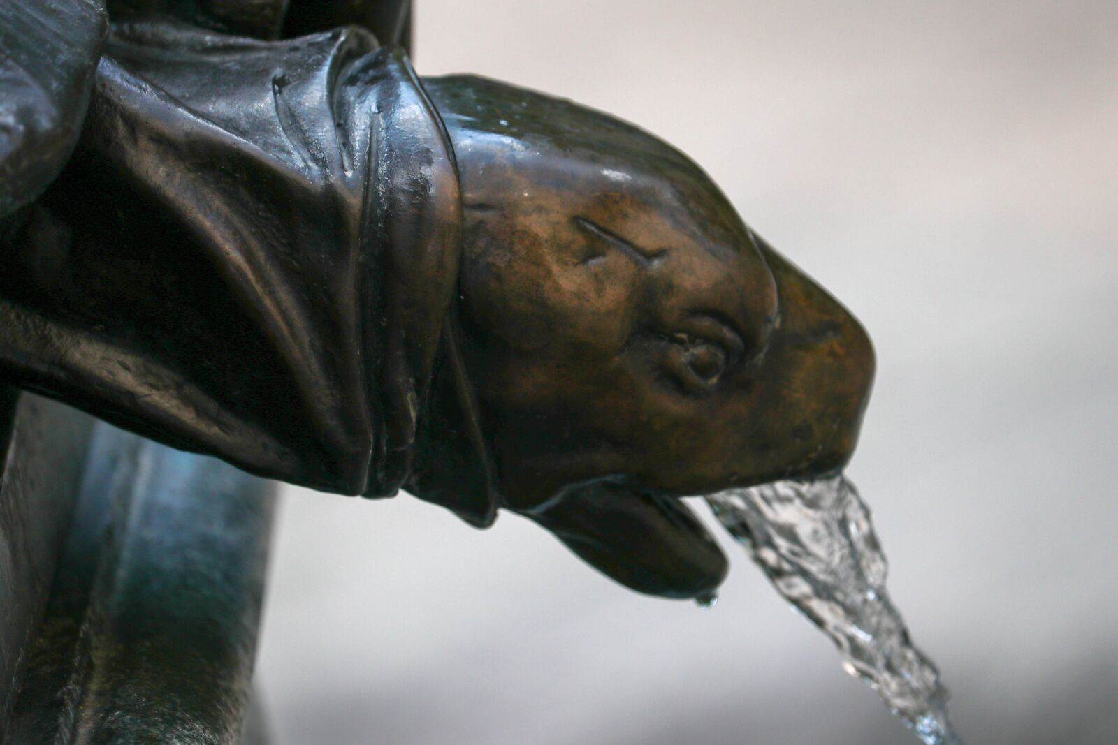 Canon EF-S 55-250mm F4-5.6 IS STM sample photo. Fountain, water, turtle photography